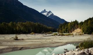 A sandy inlet with treebanks and snowcapped mountains