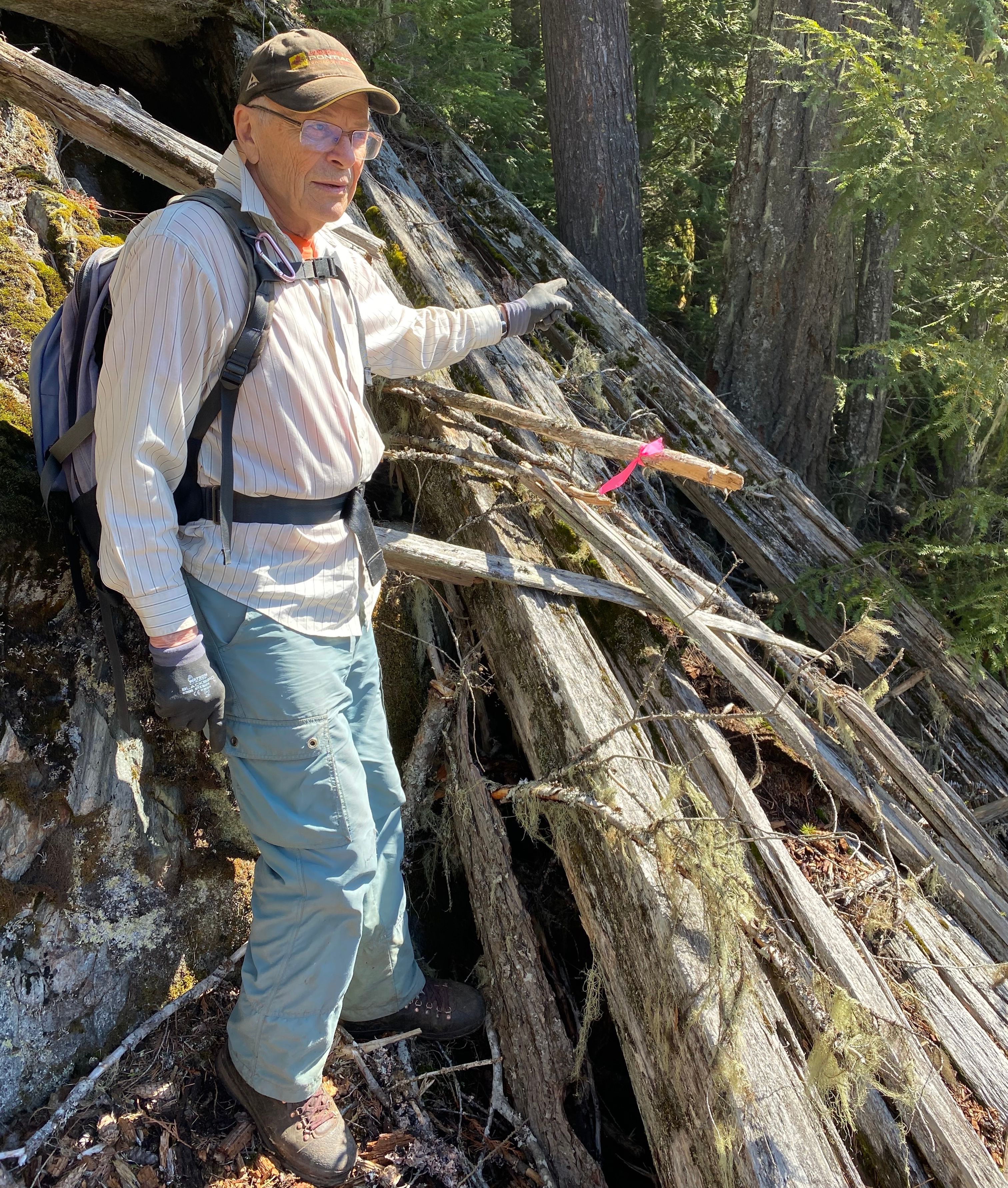 Person hiking through a forested trail area, pointing toward fallen logs and old-growth trees.