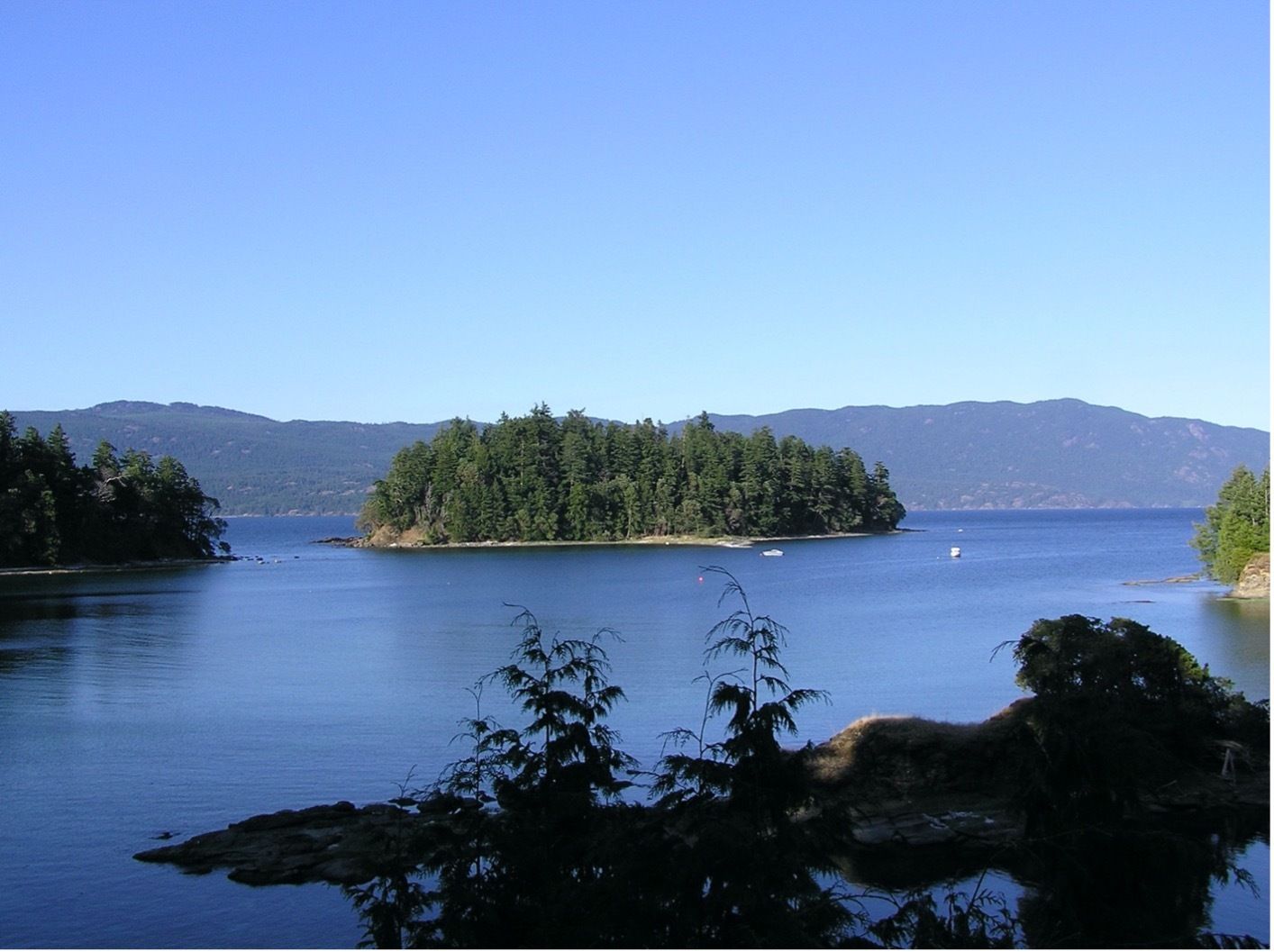 Marine Island: A 10-acre island featuring unique geological formations, old-growth trees, and rich marine life in the rare Coastal Douglas-fir biogeoclimatic zone.