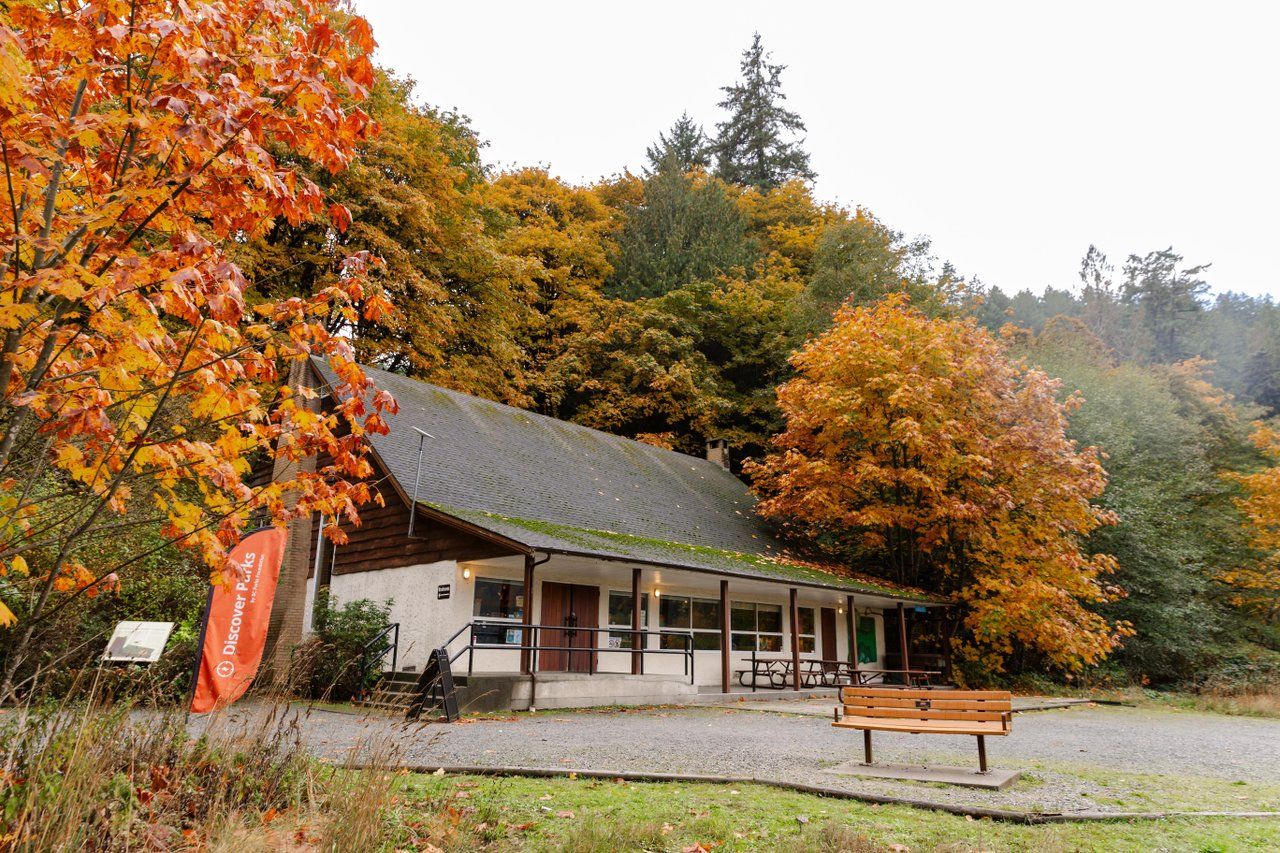 Goldstream Nature House surrounded by orange and yellow autumn trees