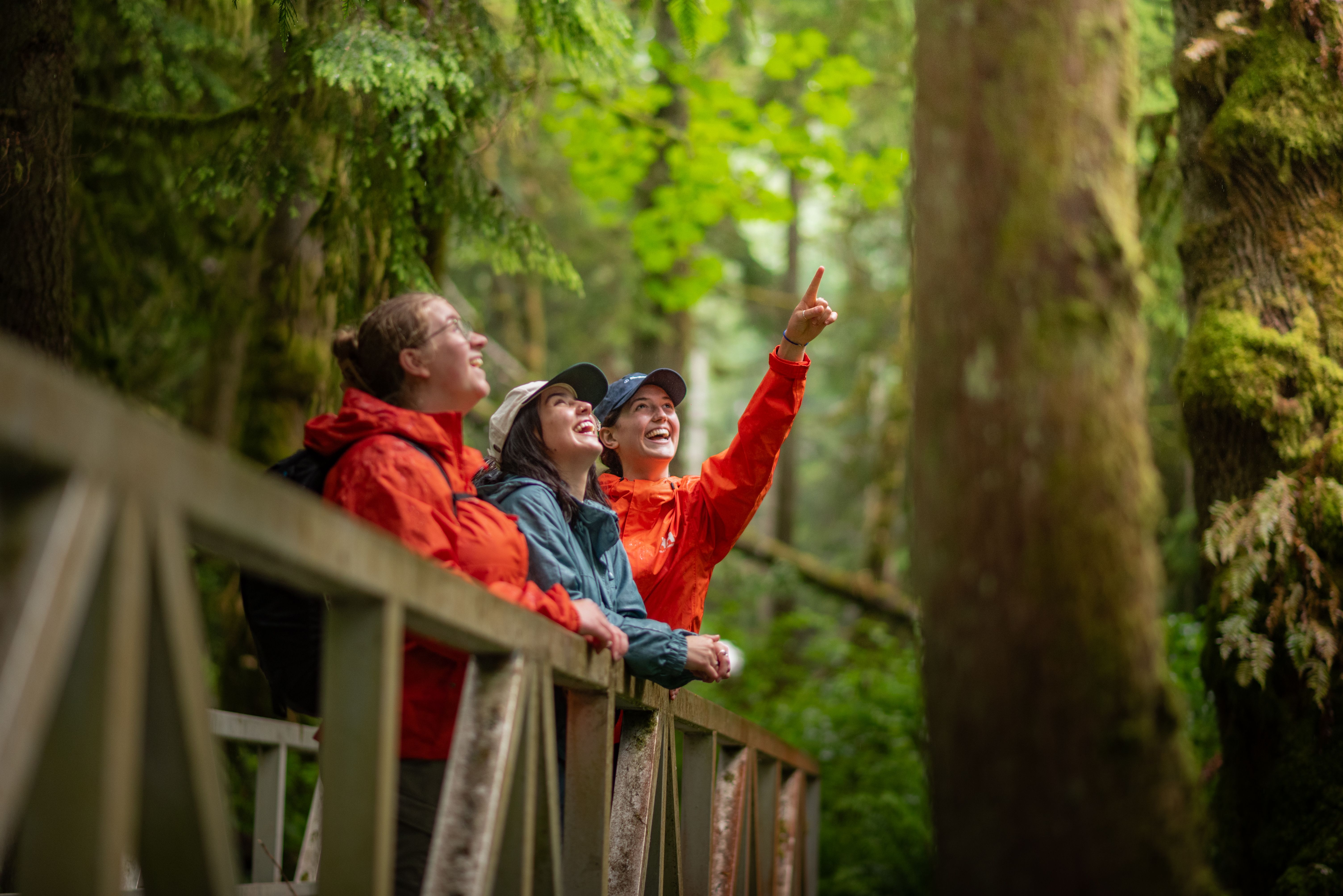Discover Parks Ambassadors and park visitors look at trees