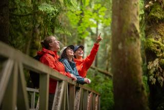 Discover Parks Ambassadors and park visitors look at trees