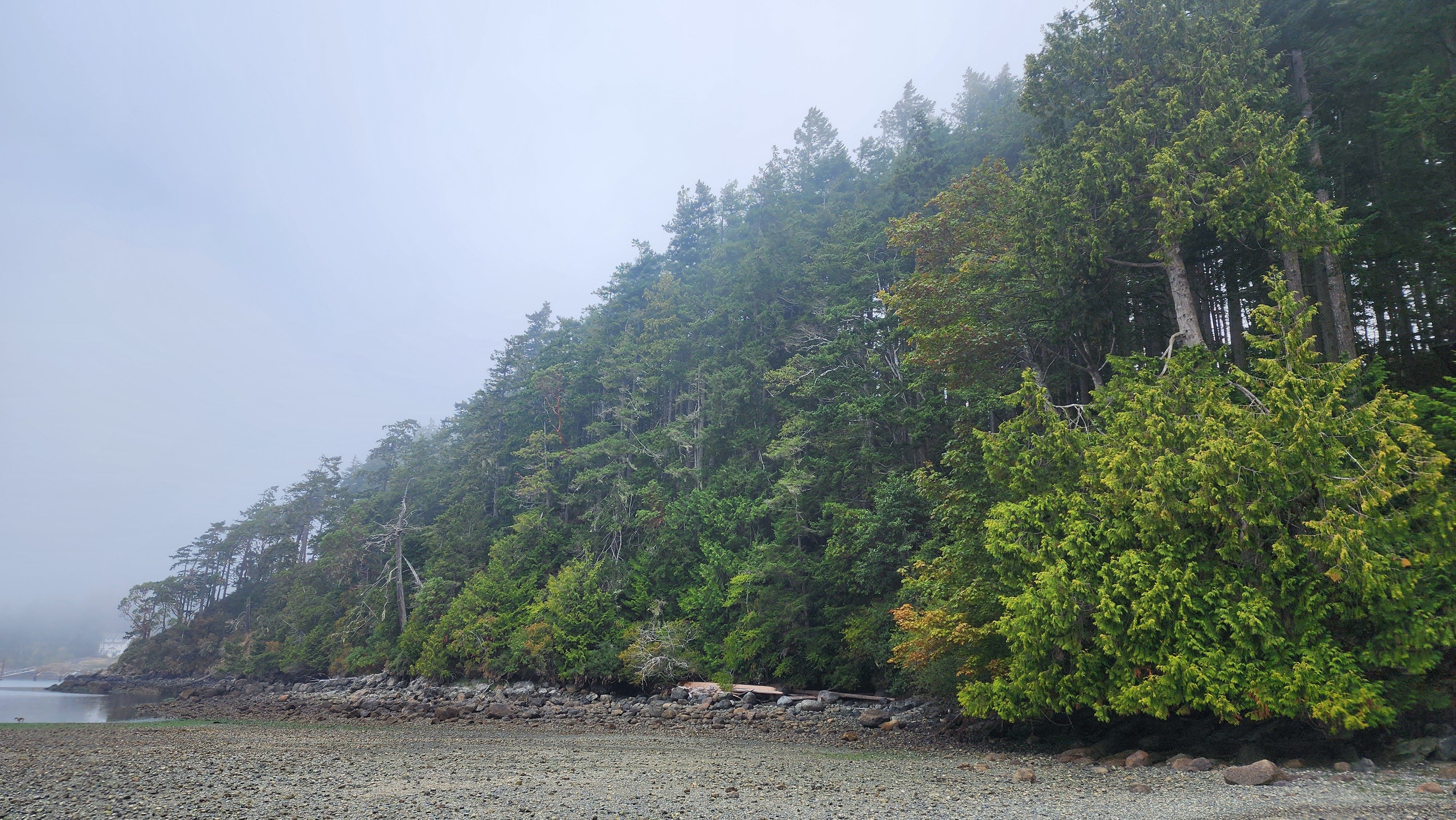 Protected property, East Sooke
