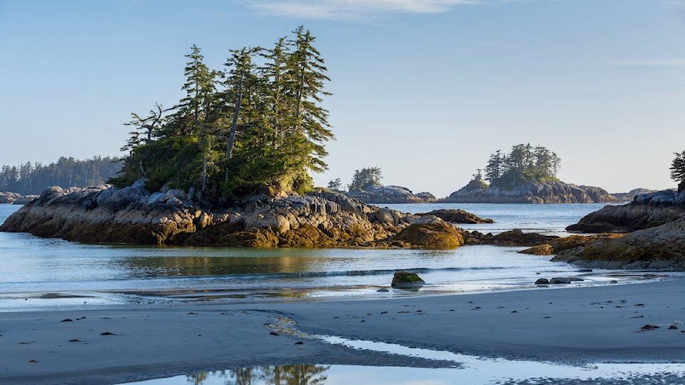 Tide out on coastal beach