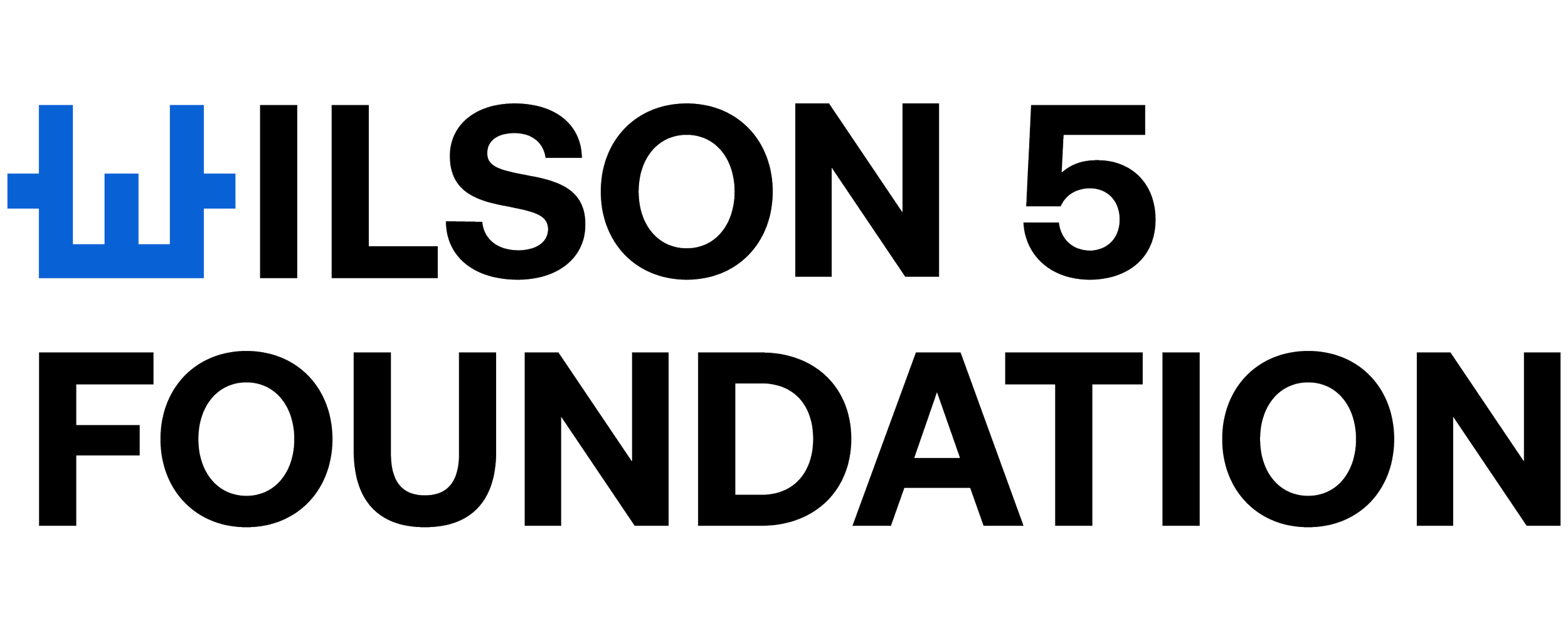 Wilson 5 Foundation logo