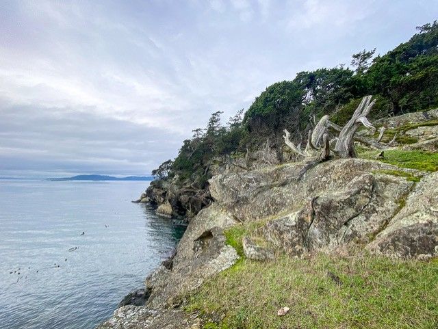 Waterfront view on Saturna Island.