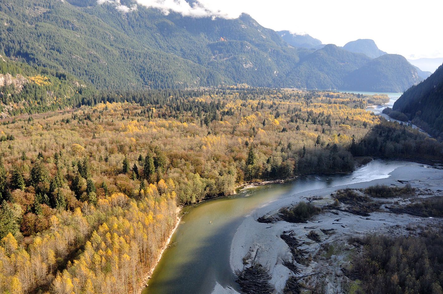 Aeriel shot of Upper Pitt River
