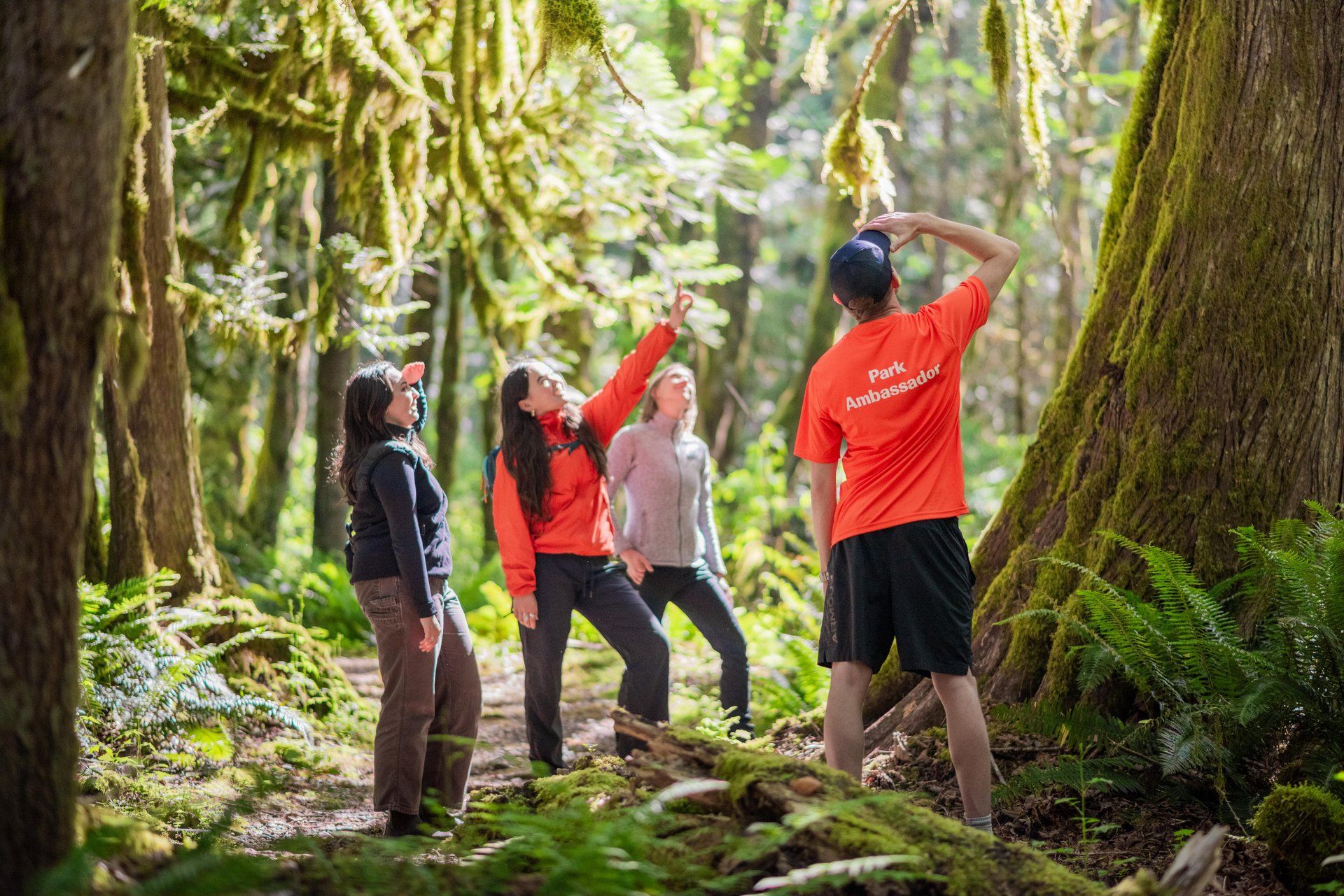 Discover Parks Ambassadors lead a nature walk in Golden Ears Park.