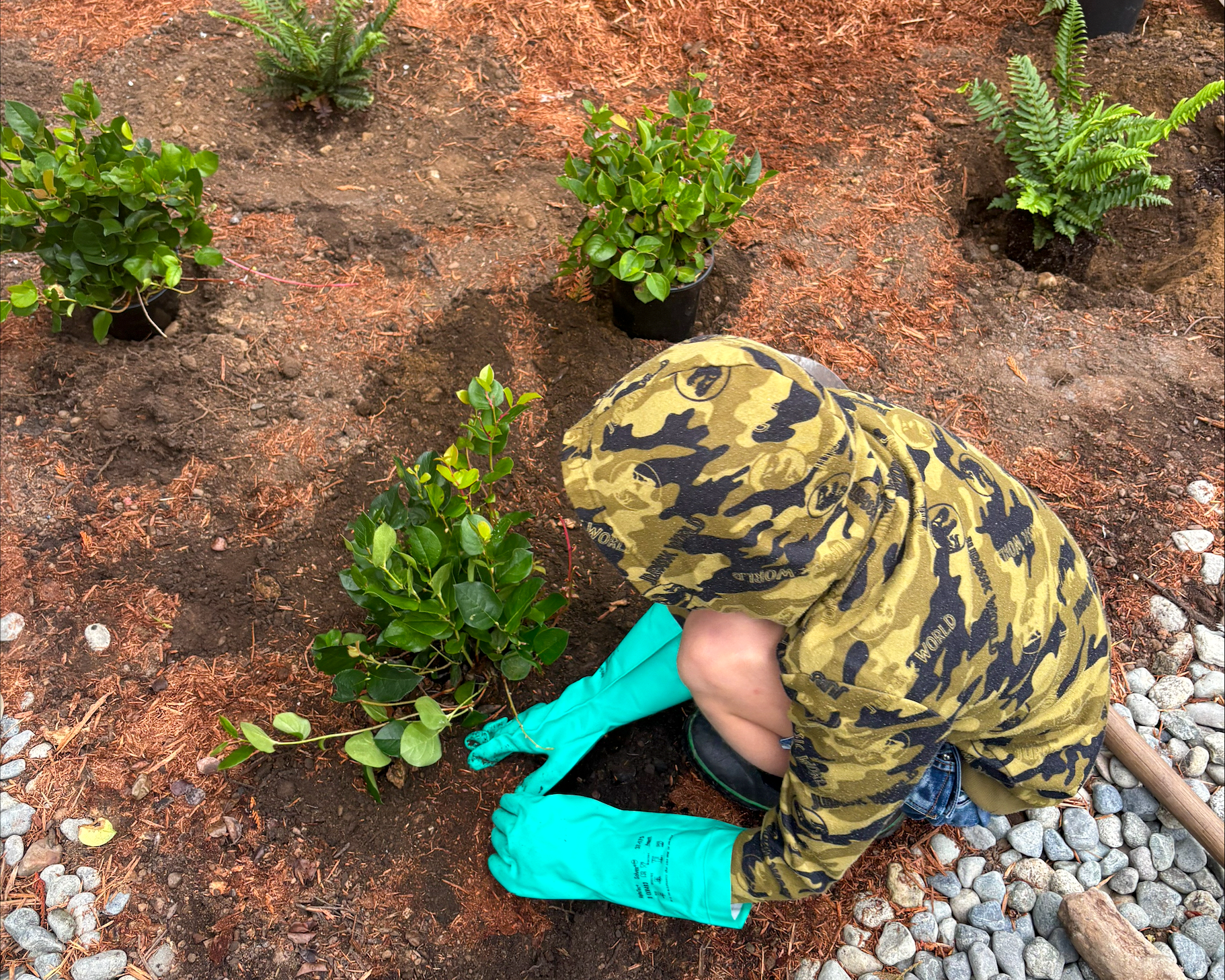 Student plants garden