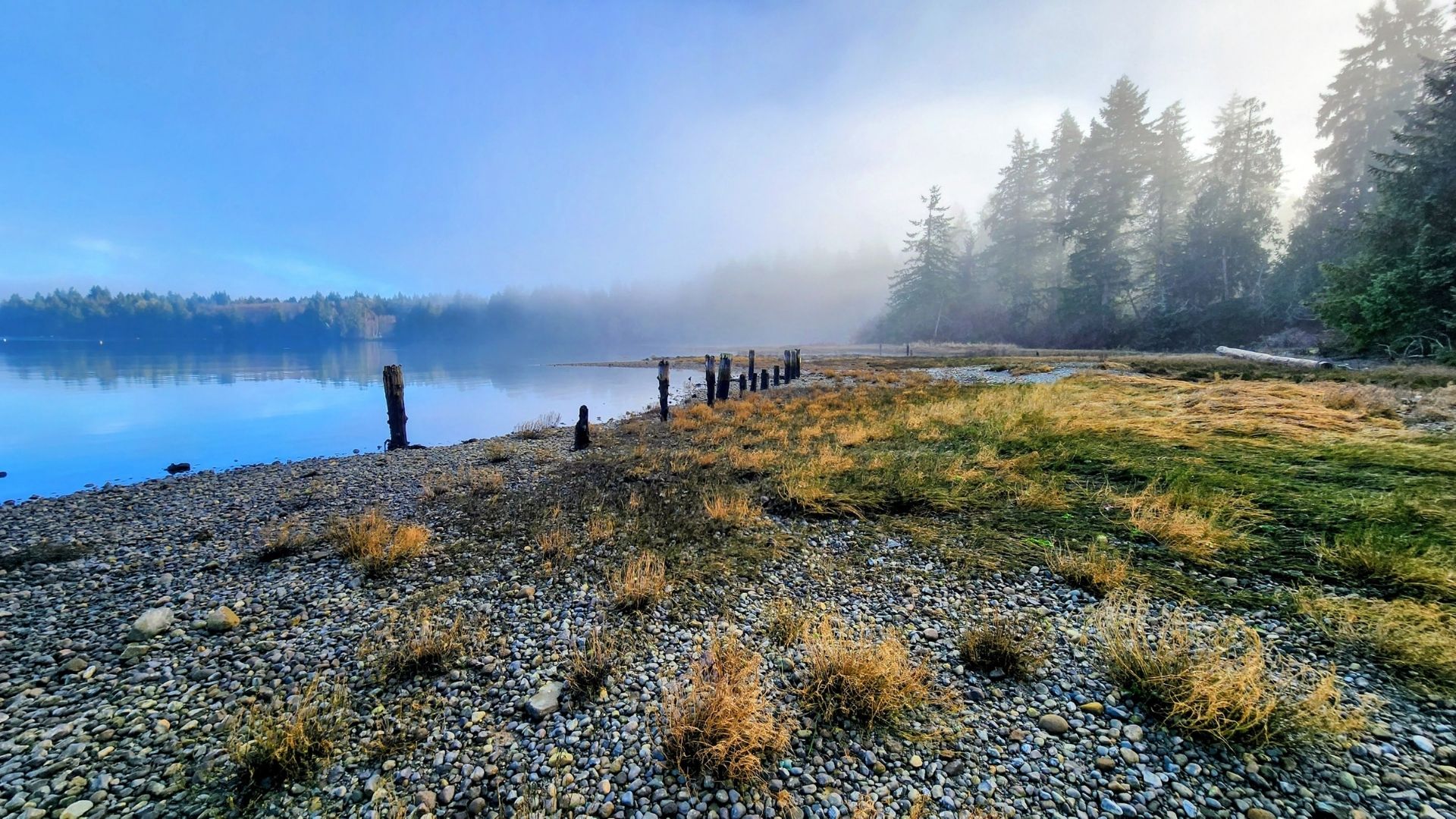 A misty water's edge, aligned with a rocky coast and a treeline