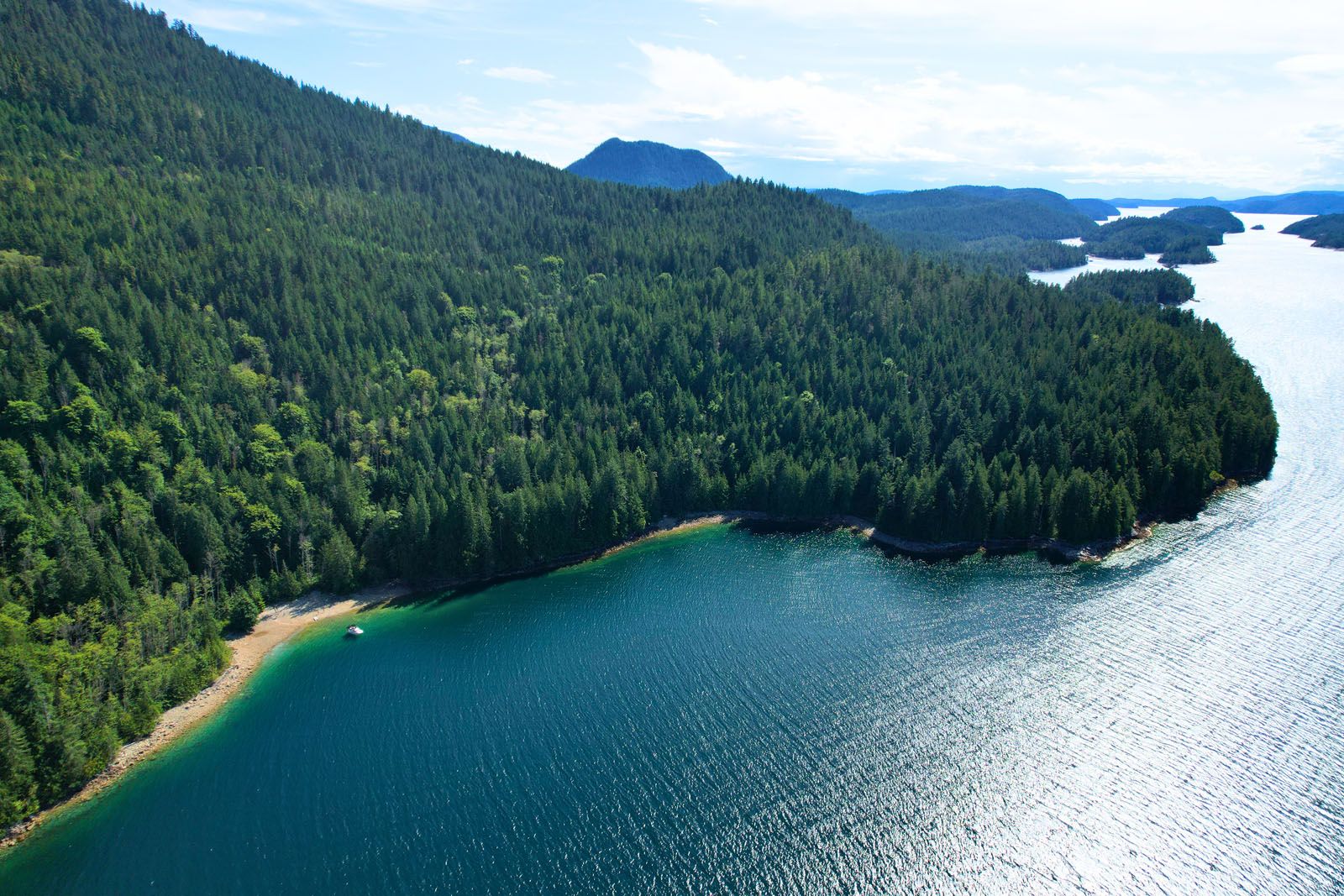 An aerial shot of the Prideaux Haven shoreline, with deep blue waters and dense forest