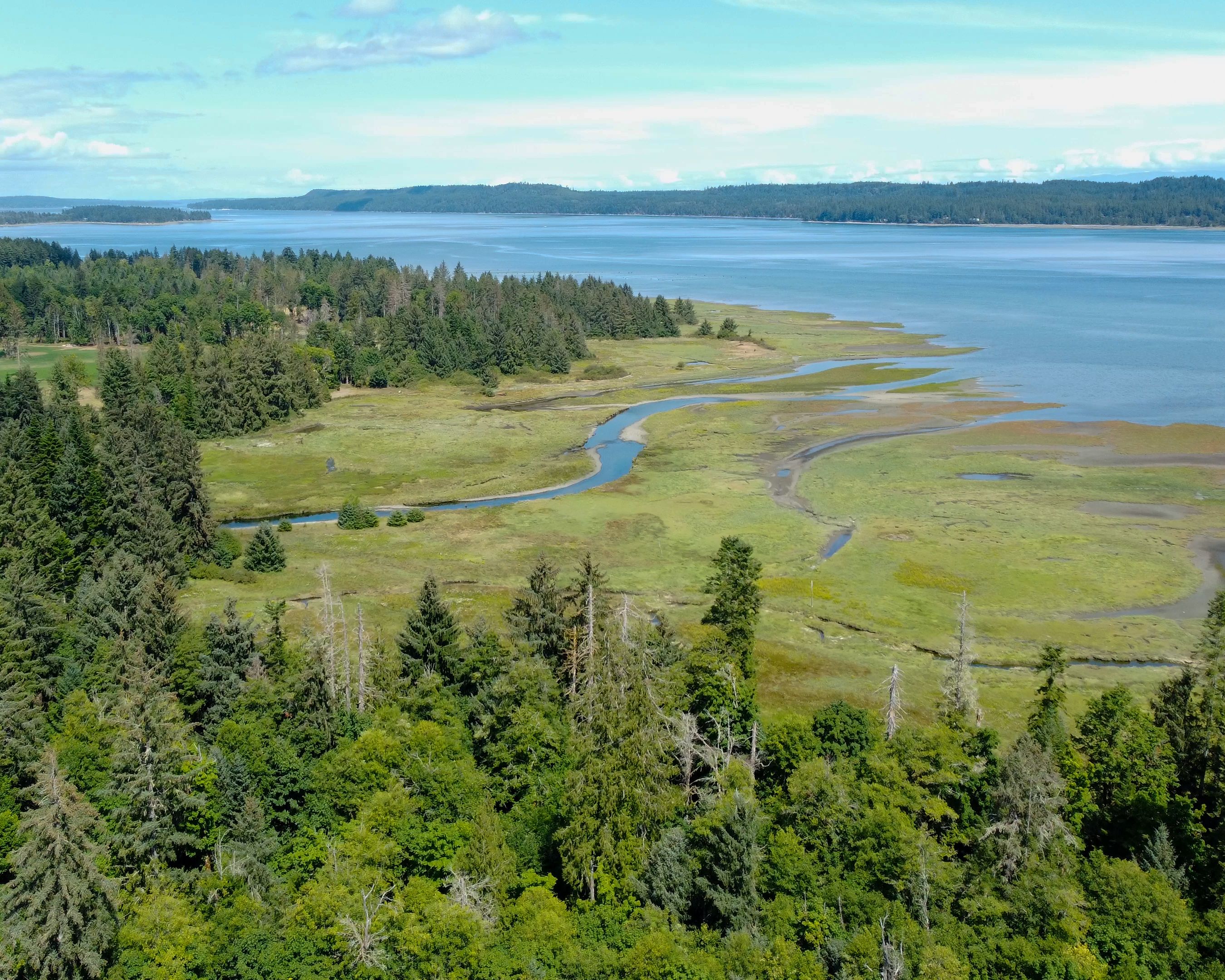 Deep Bay: An 84-acre oceanfront parcel near Courtenay/Comox that provides habitat for salmon and connects to nearby protected areas.