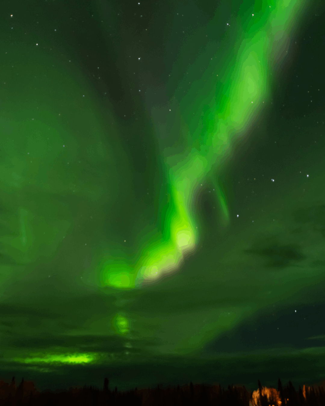 The northern lights glisten in a night's sky