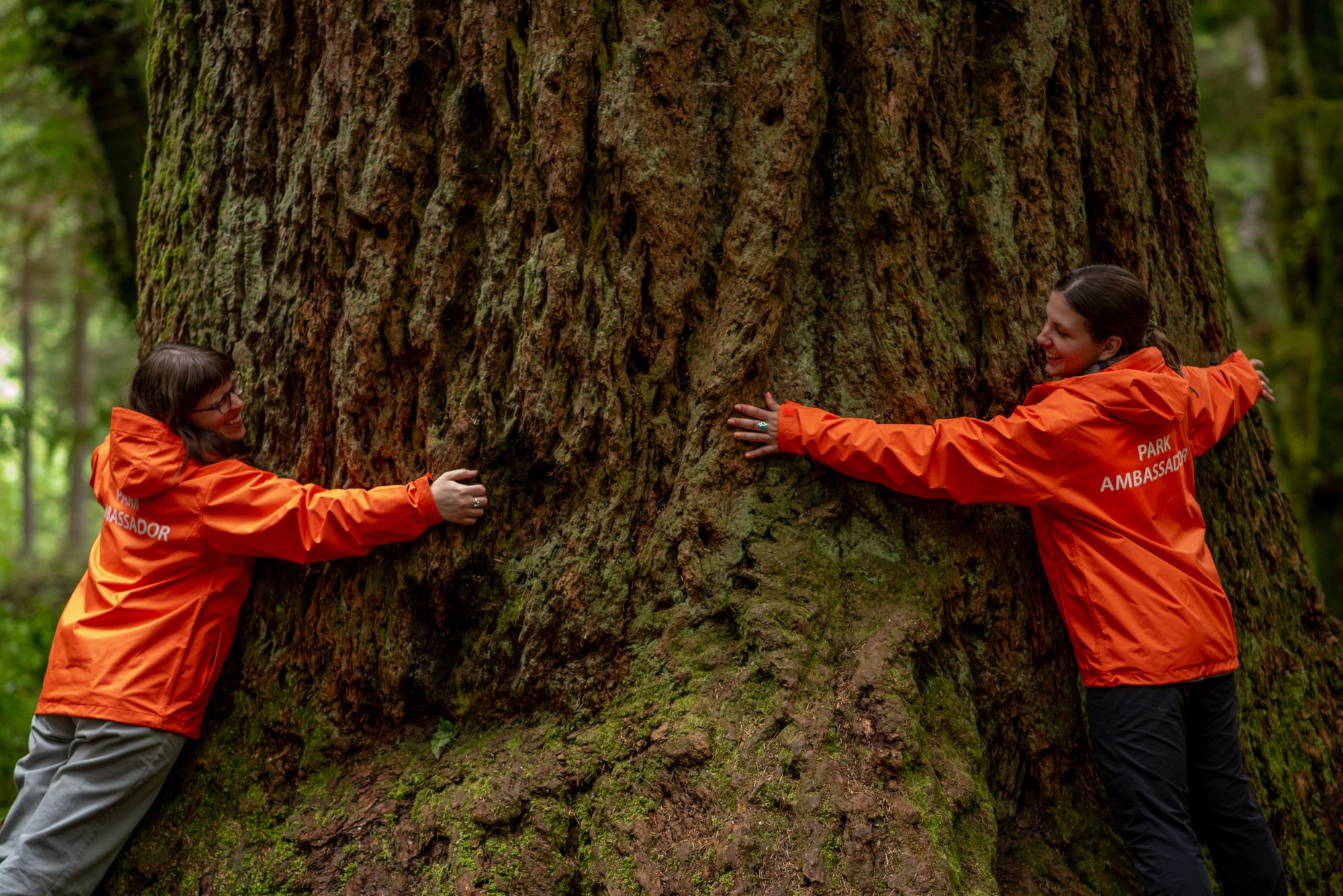 Discover Parks Ambassadors hug a tree