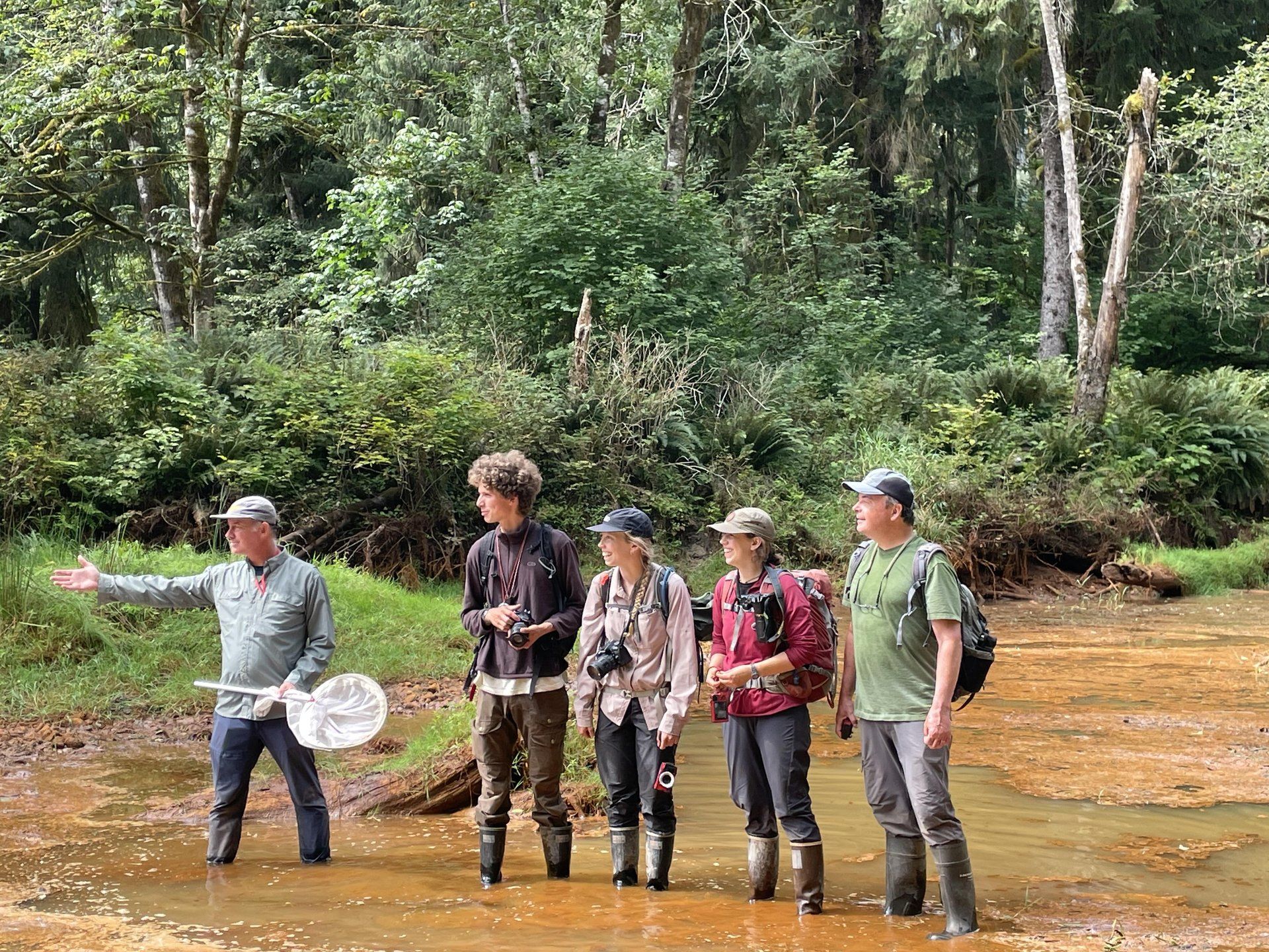 A group of people in outdoor gear stand in a shallow forest stream.