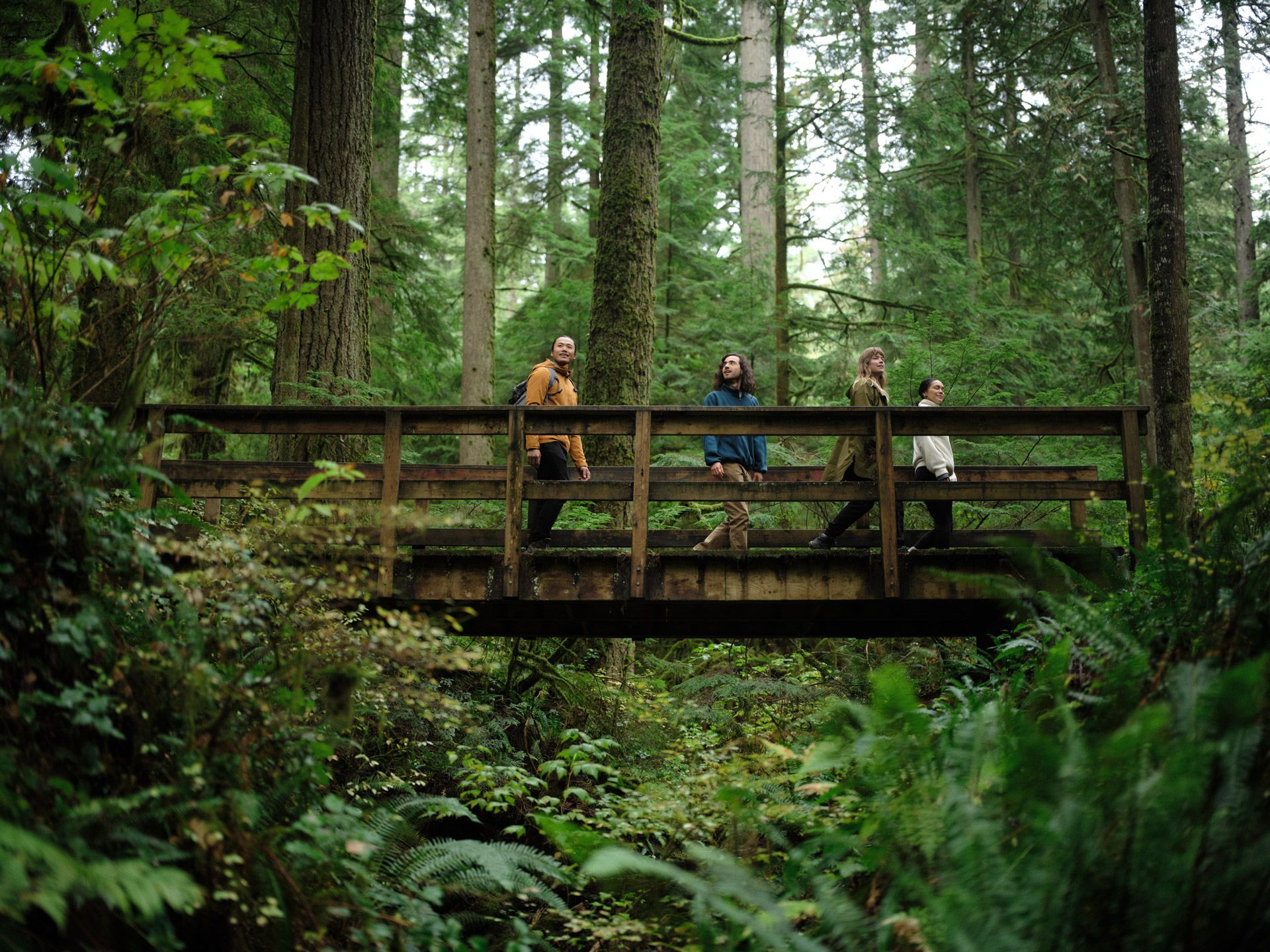 A group of people walk across a bridge in a forest surrounding
