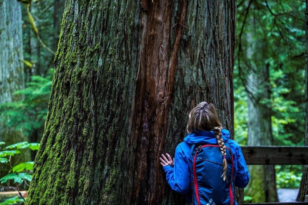 Person hugging a tree