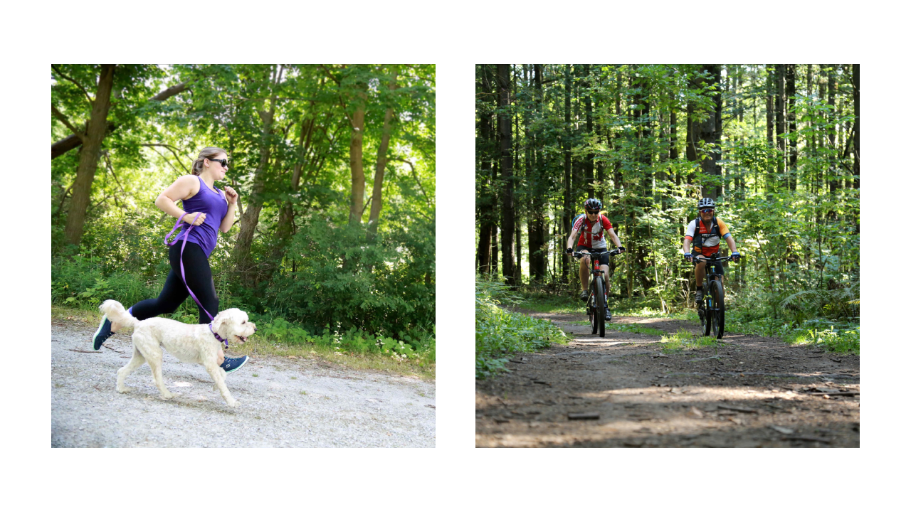 Women walks dog; people bike through forest