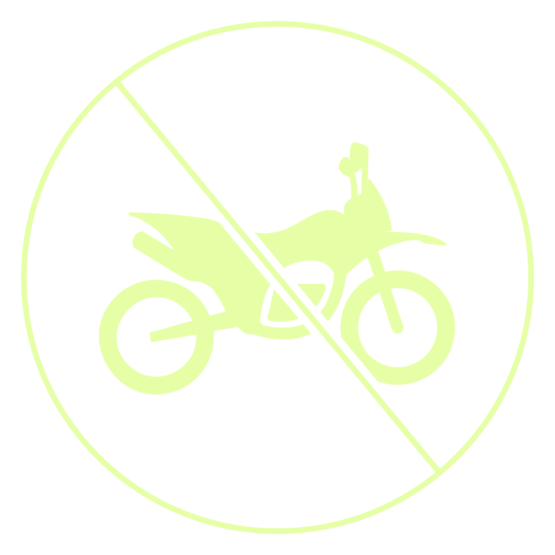 No motorized vehicles icon