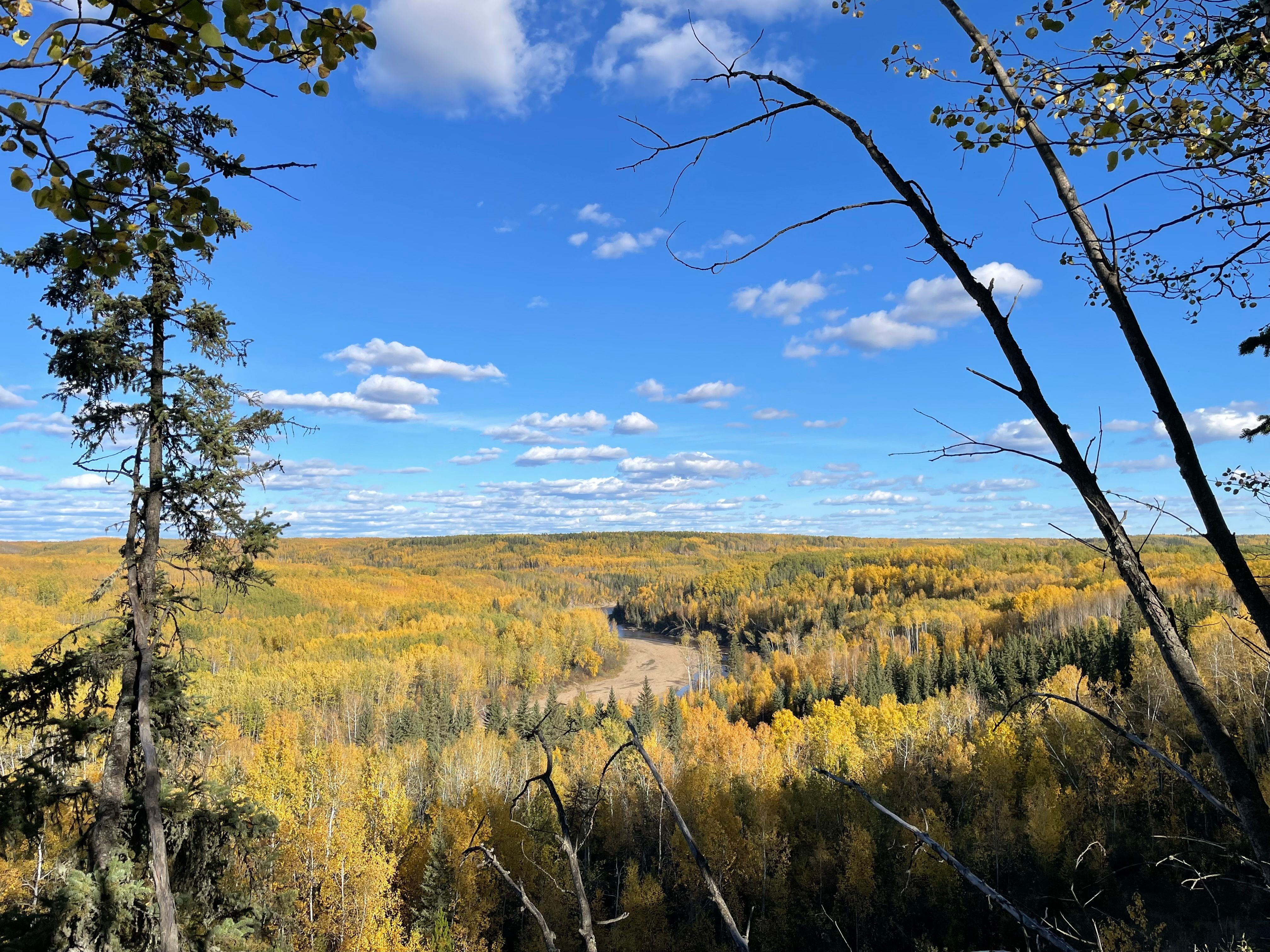 Image of Beatton River