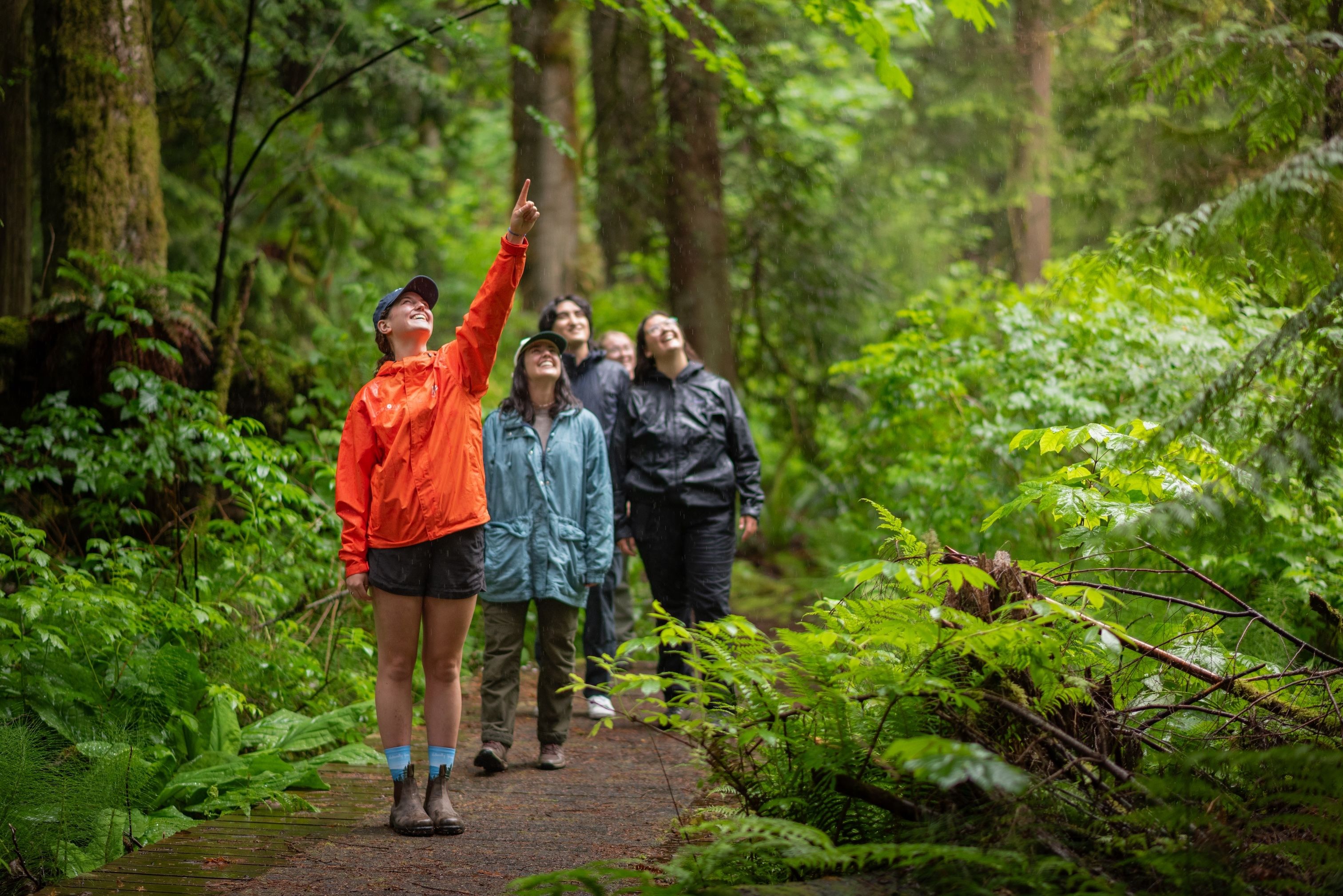 A Discover Parks Ambassador points something out to park visitors in a forest