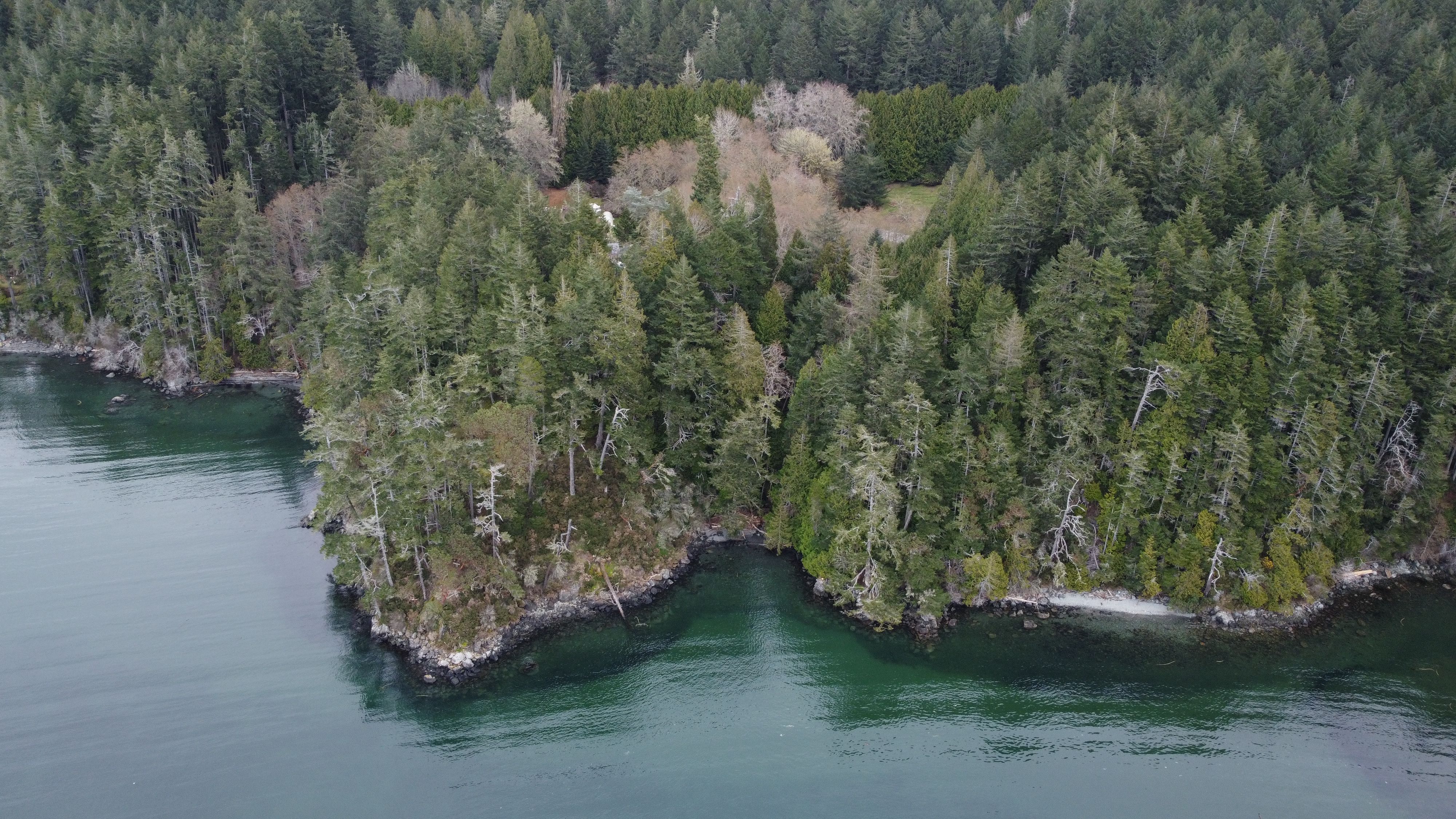 Aeriel shot of forest and water