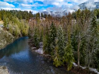 Trees and river in Creston Valley future regional park
