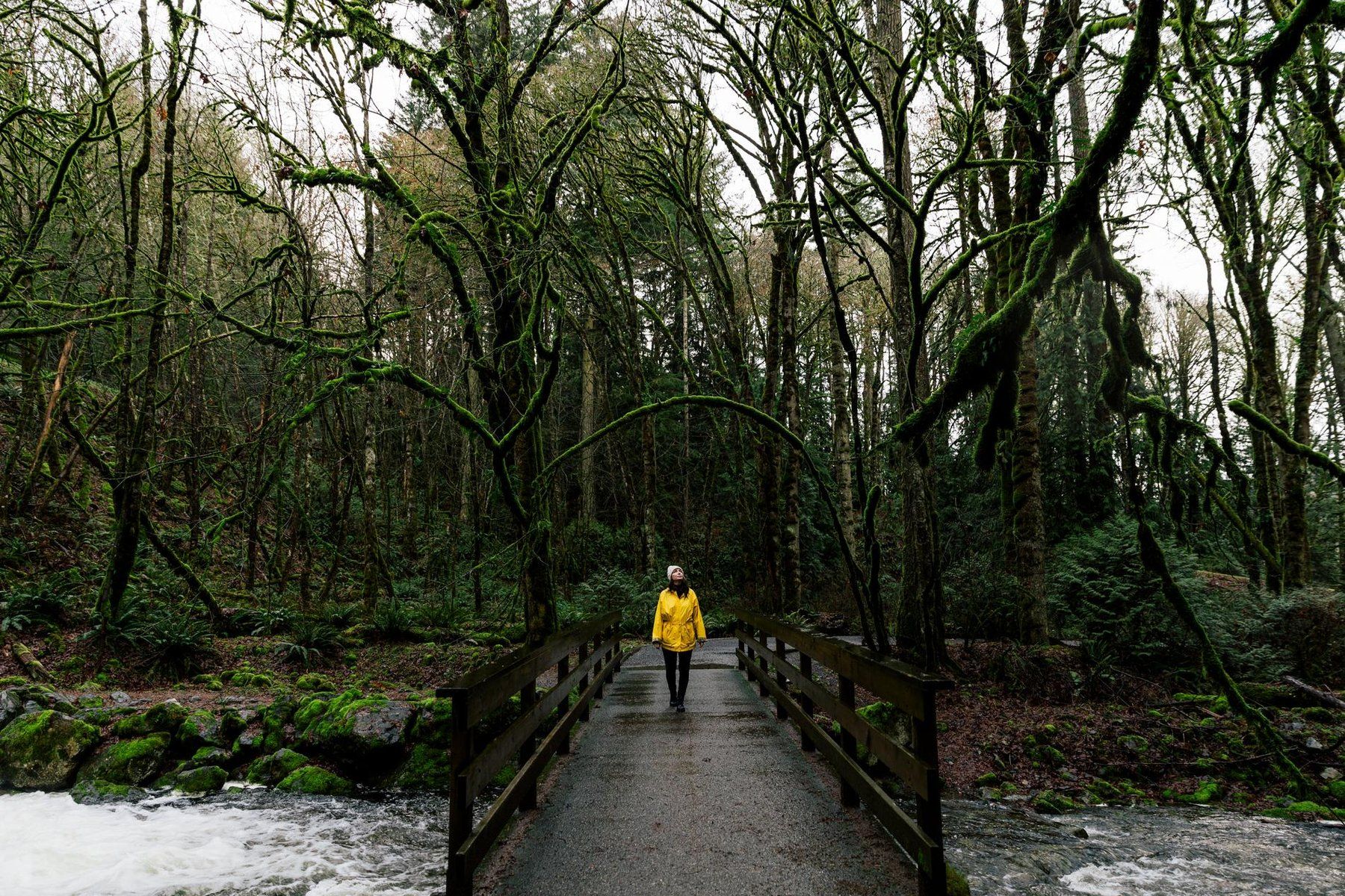 Person walking across a small bridge in a mossy forest with a stream below.