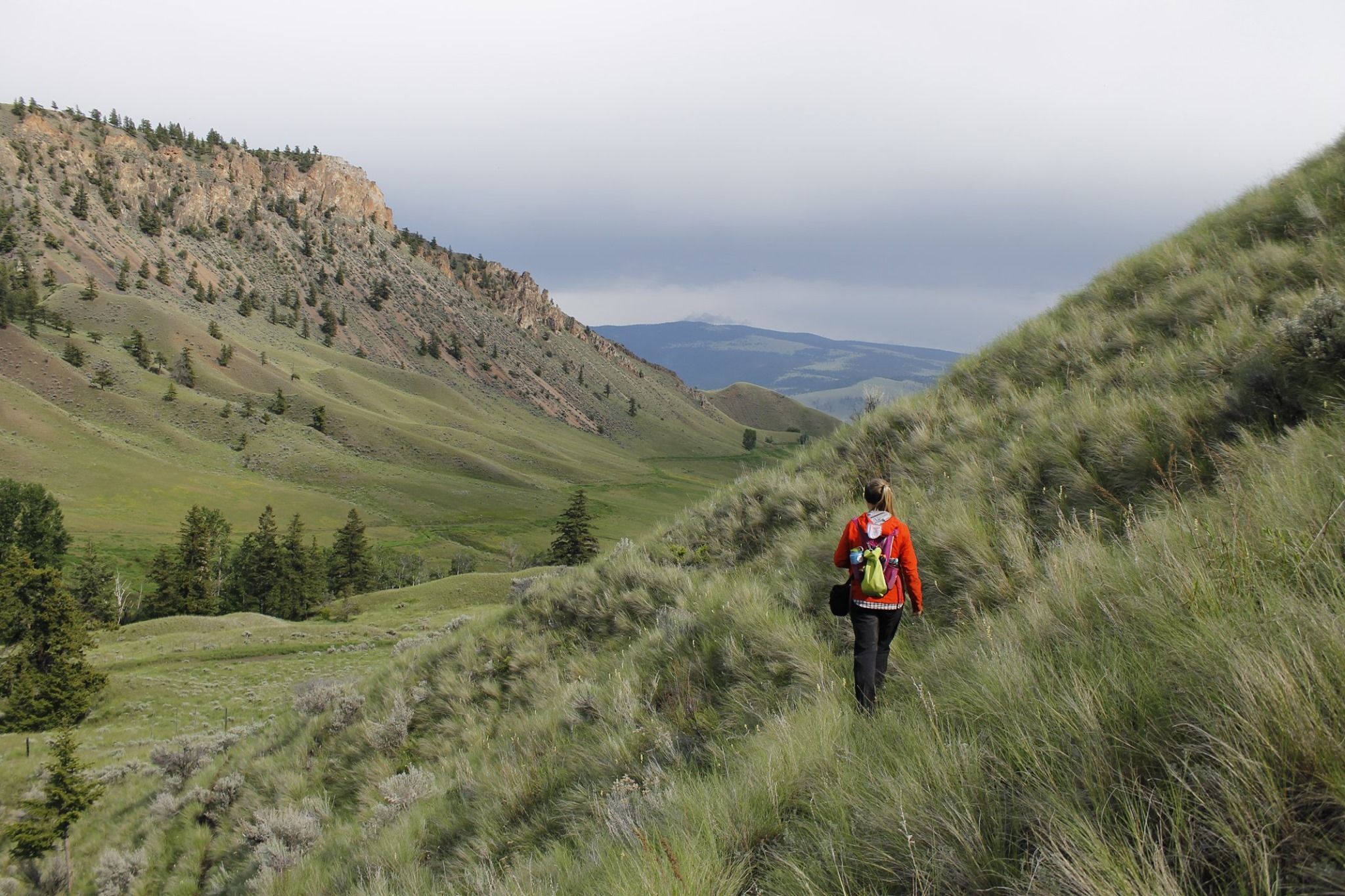 A person enjoying a hike in nature
