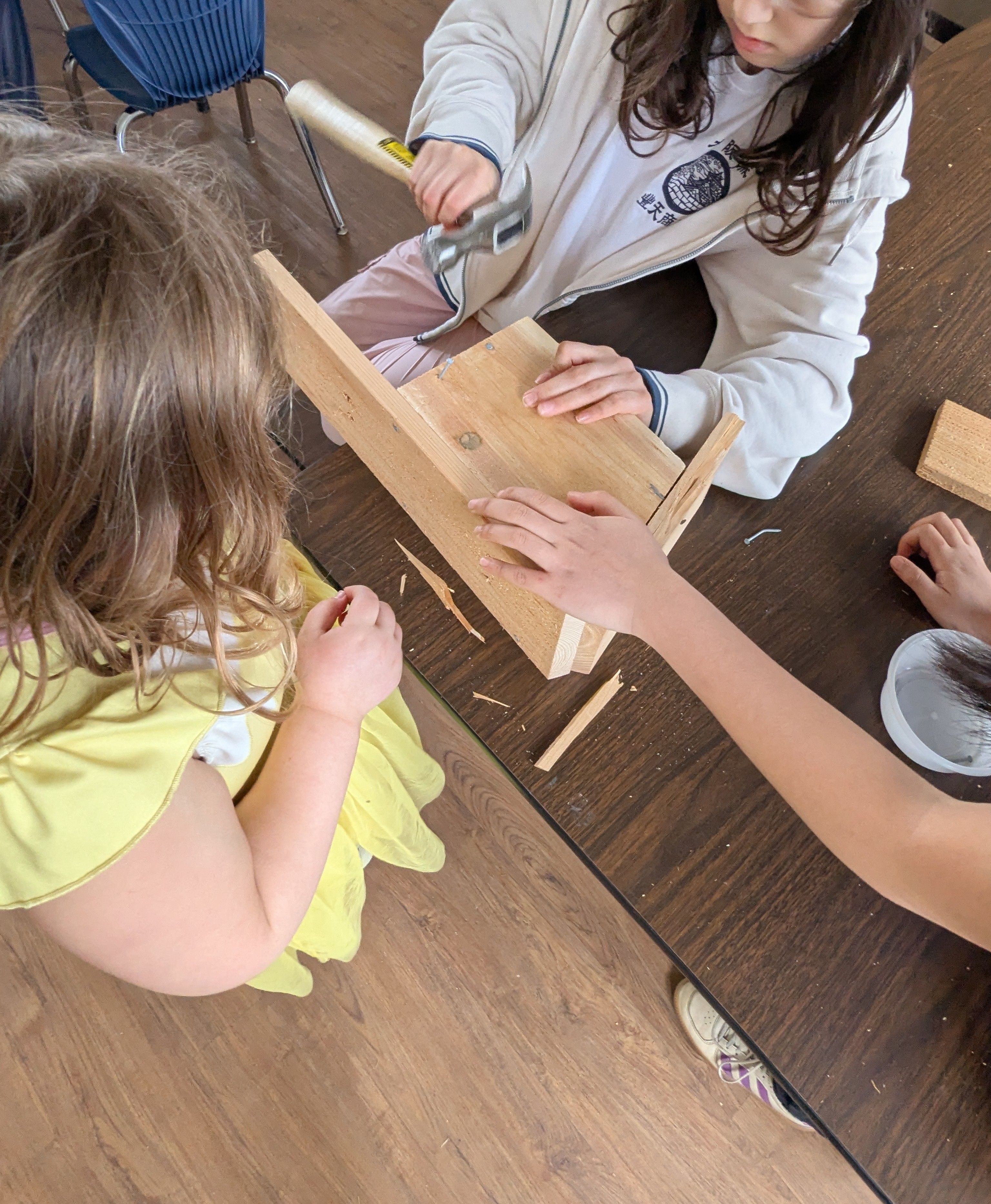 Students building bird boxes