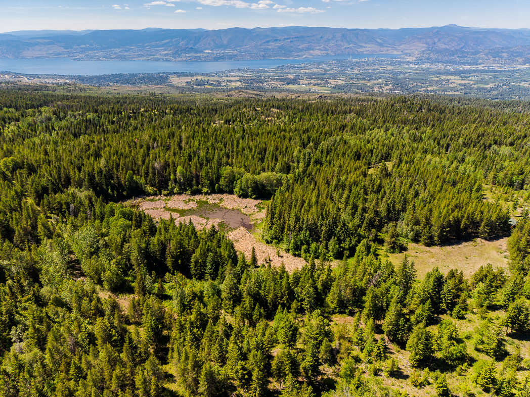 Aerial view of part of Myra-Bellvue Park