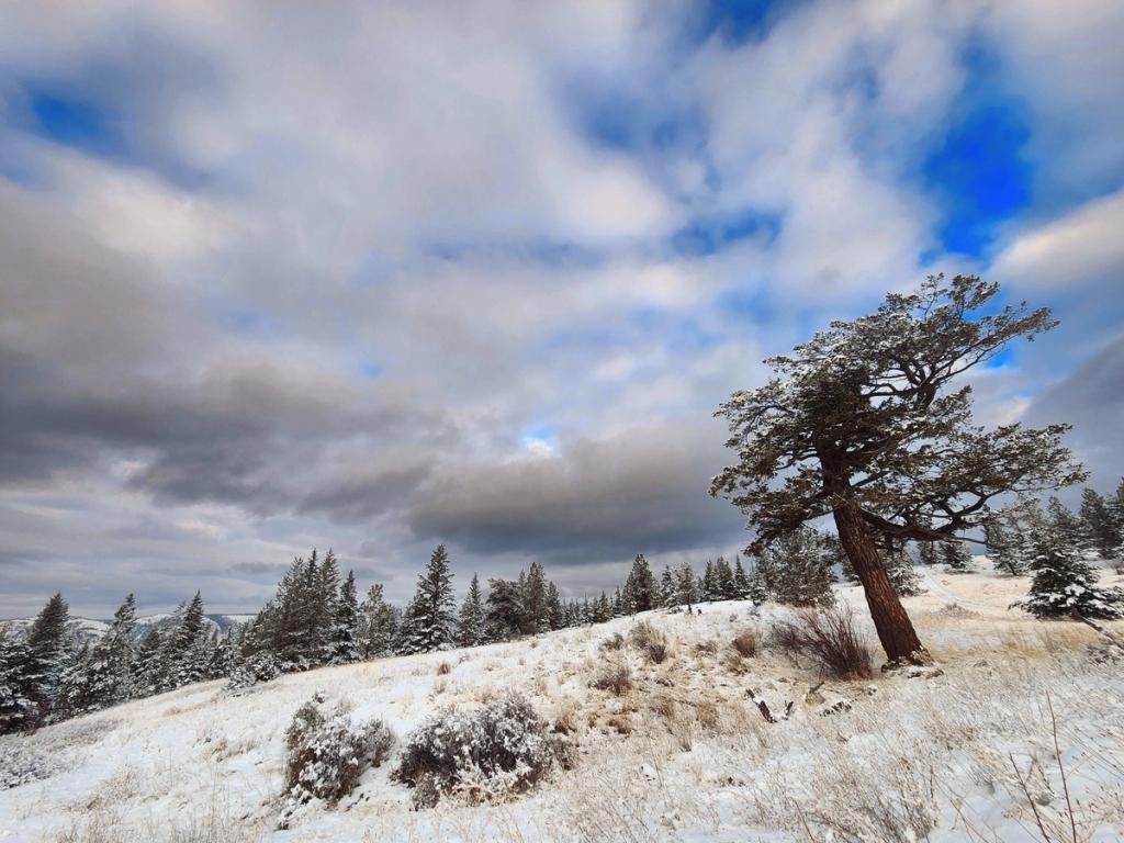Juniper Ridge Ii A Natural Winner! Community Crowdfunding Campaign Combines with Major ...