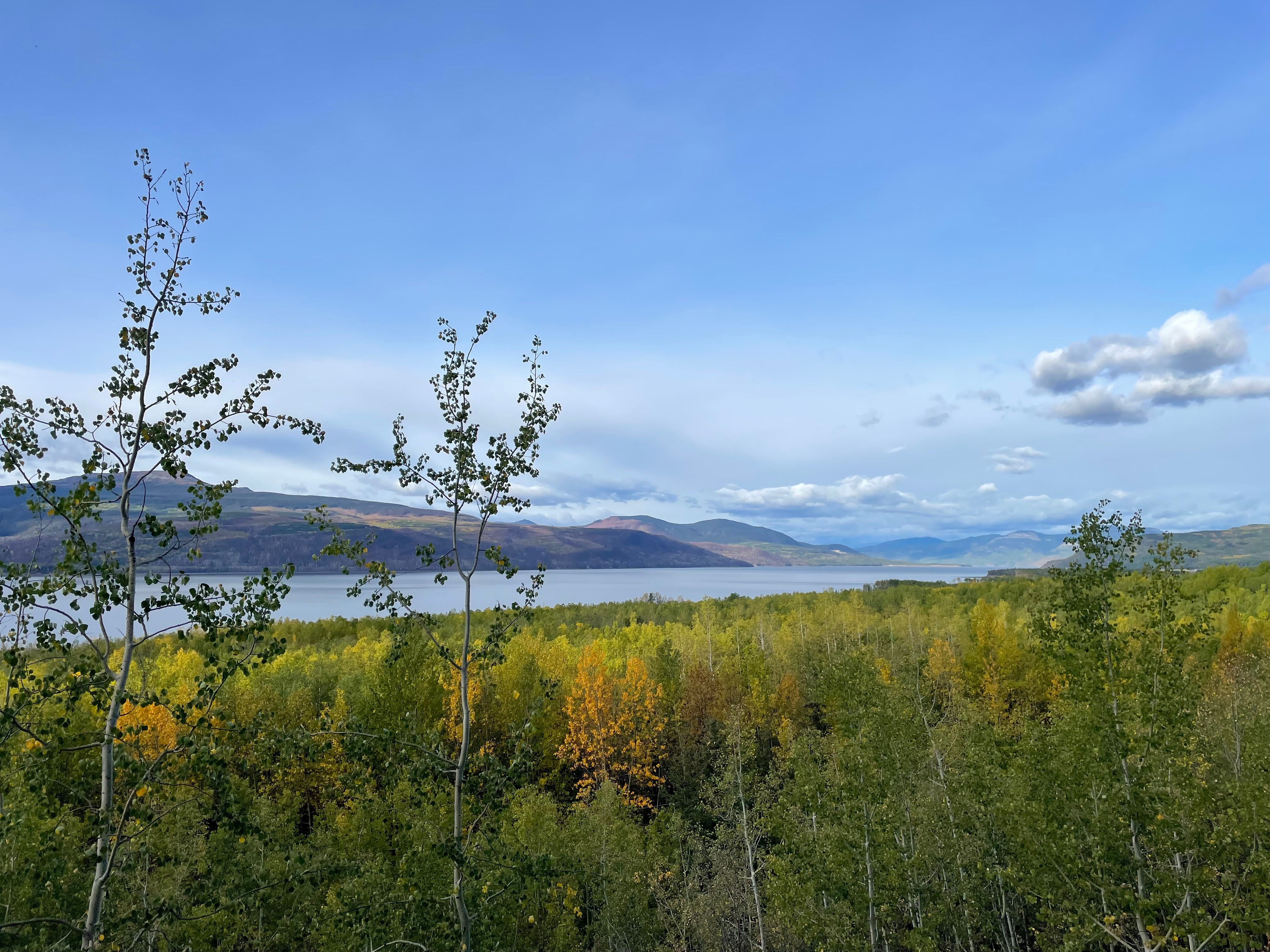 View of Butler Ridge