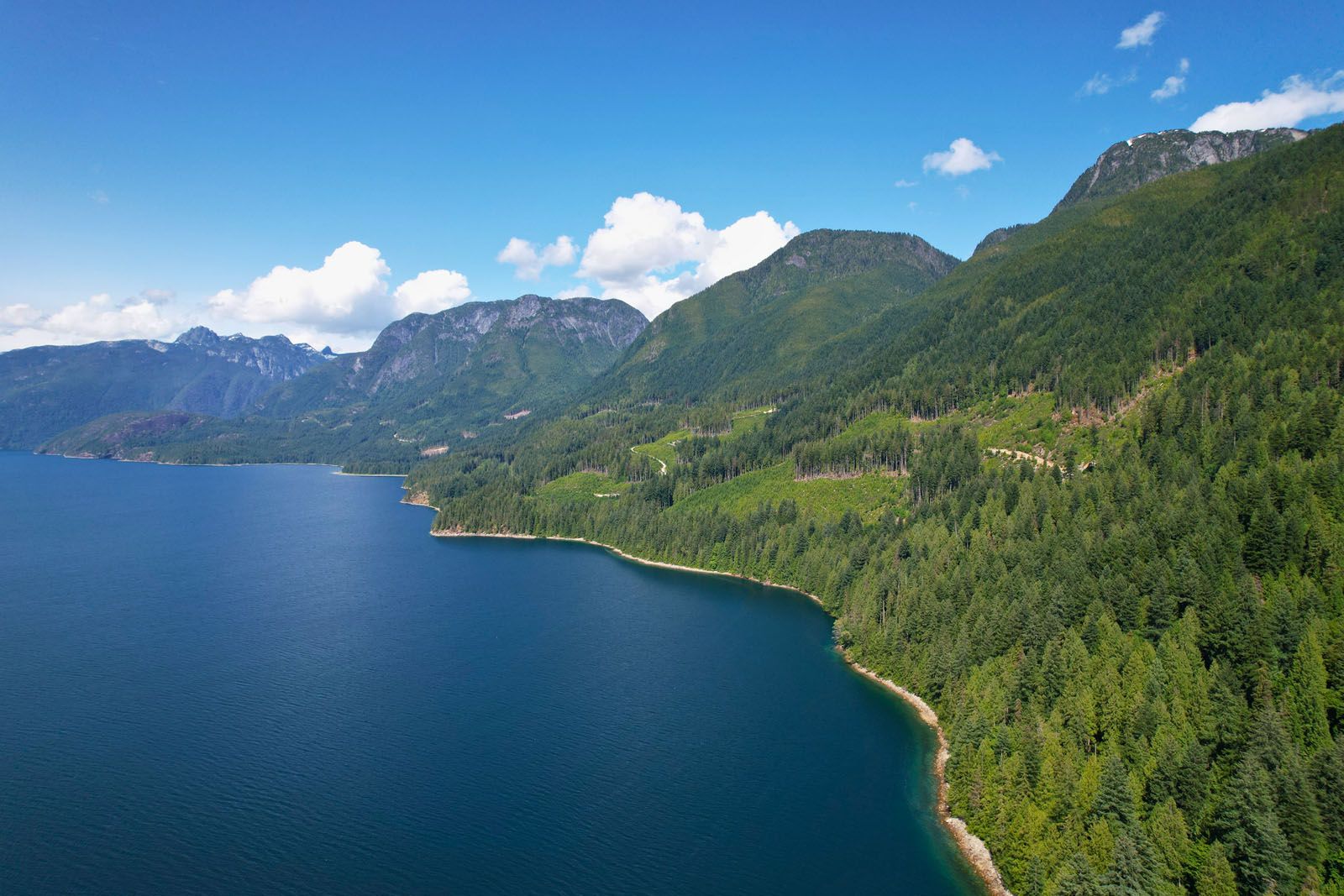 Coastline of lake and forested hill