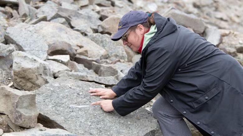 Woman looks at rocks