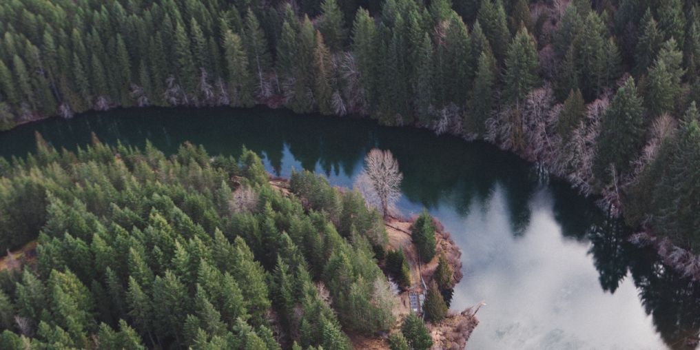 Aeriel shot of Puntledge River