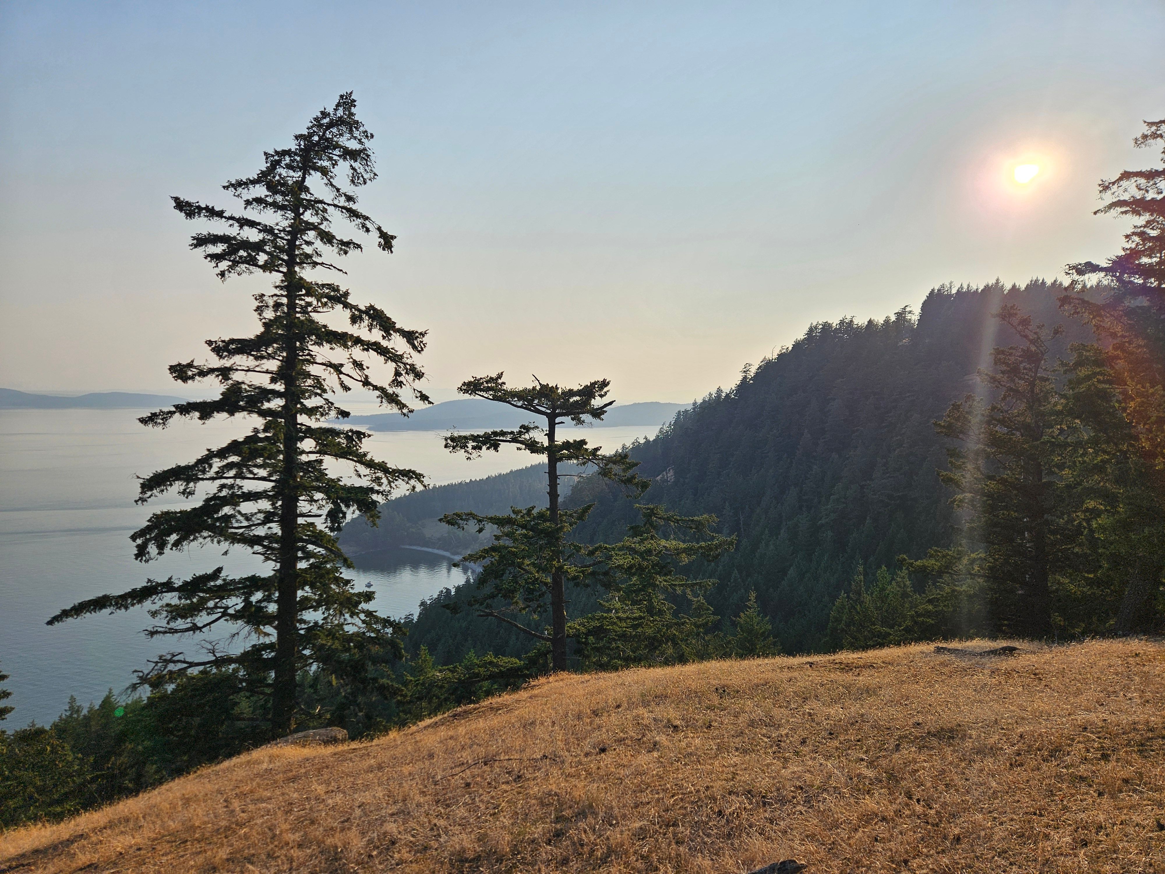 Cliffside on Saturna Island