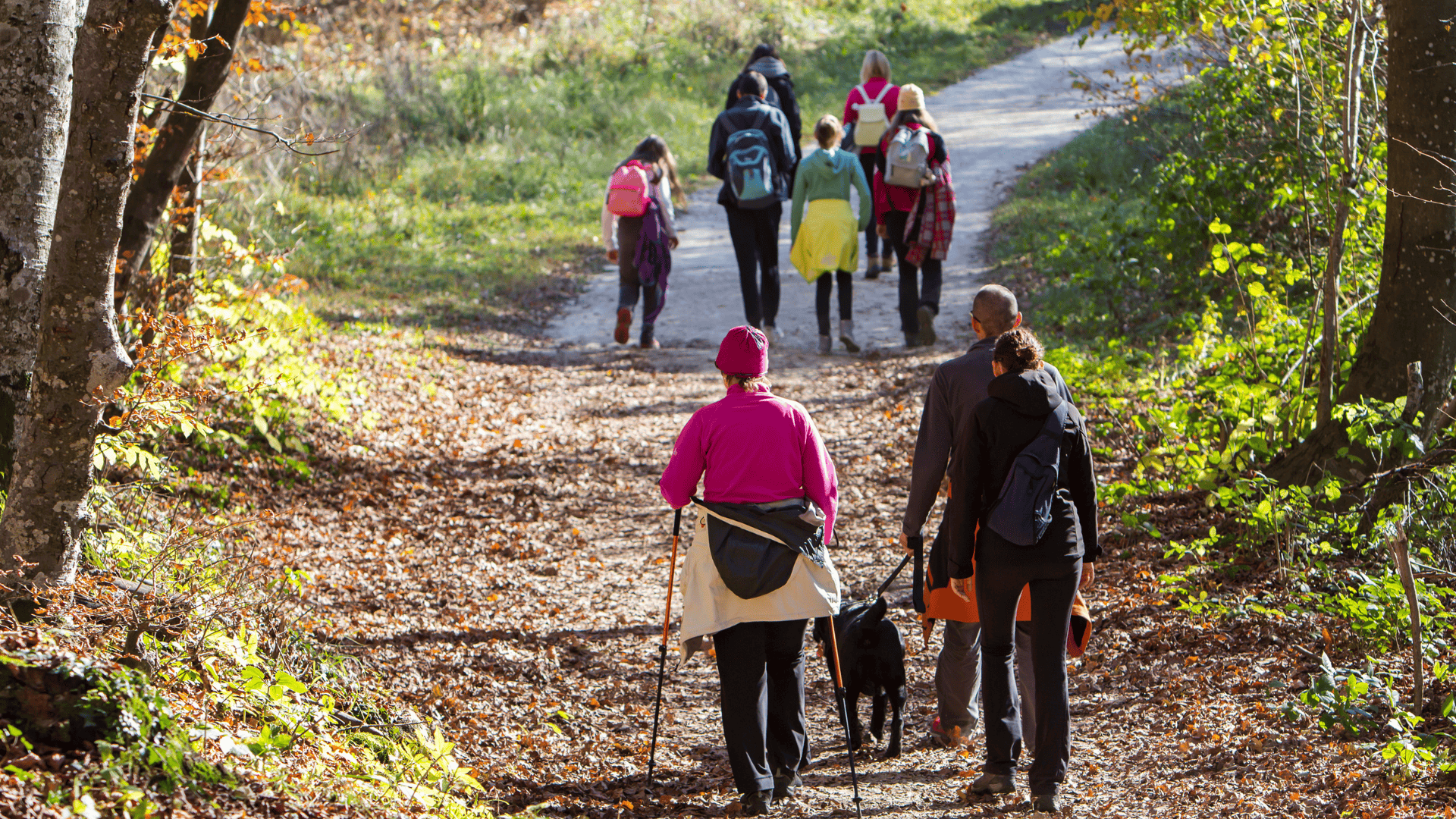 People walking down a path