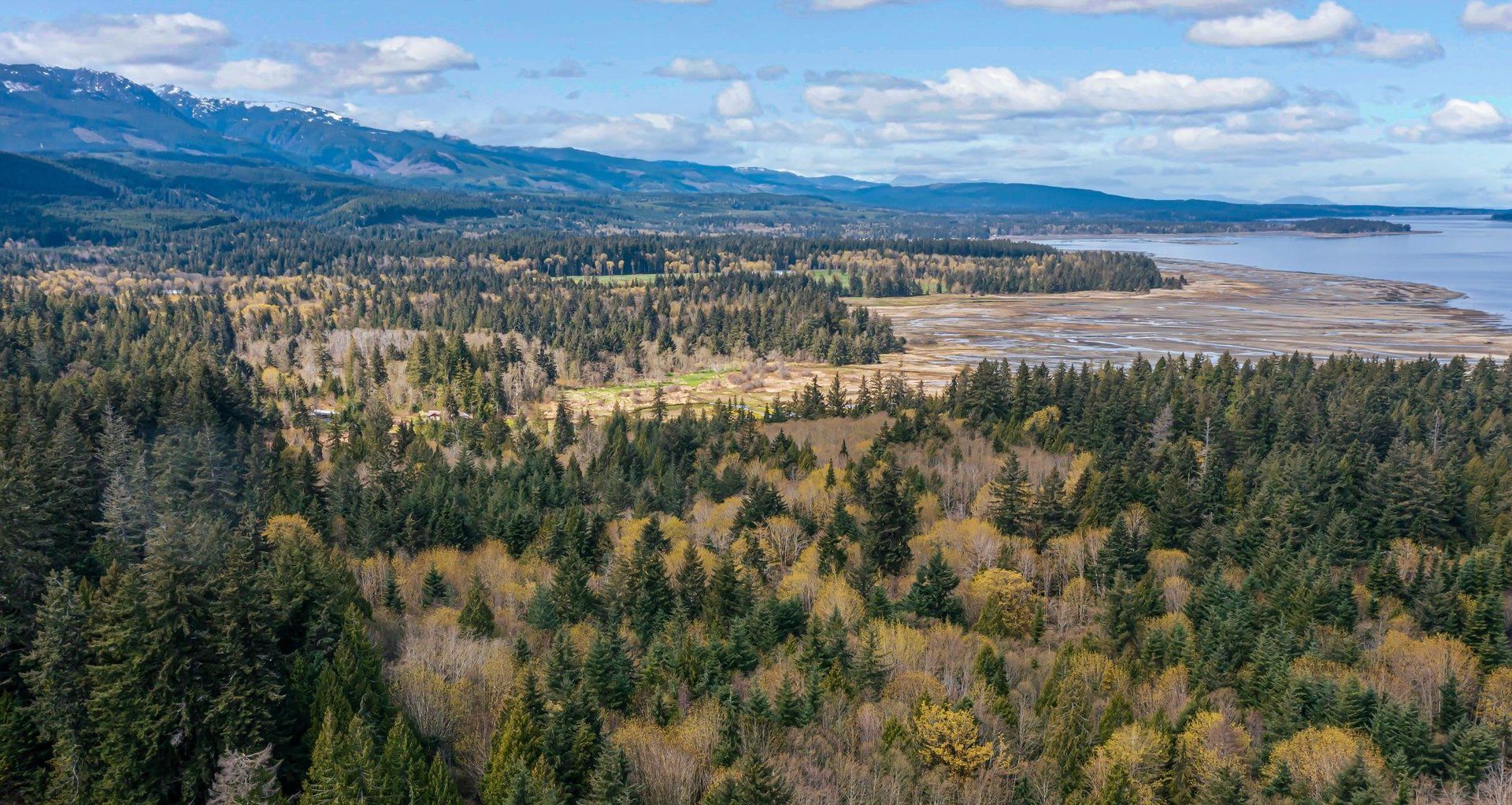 Aerial view of forests and wetlands along the coast with mountains in the distance.