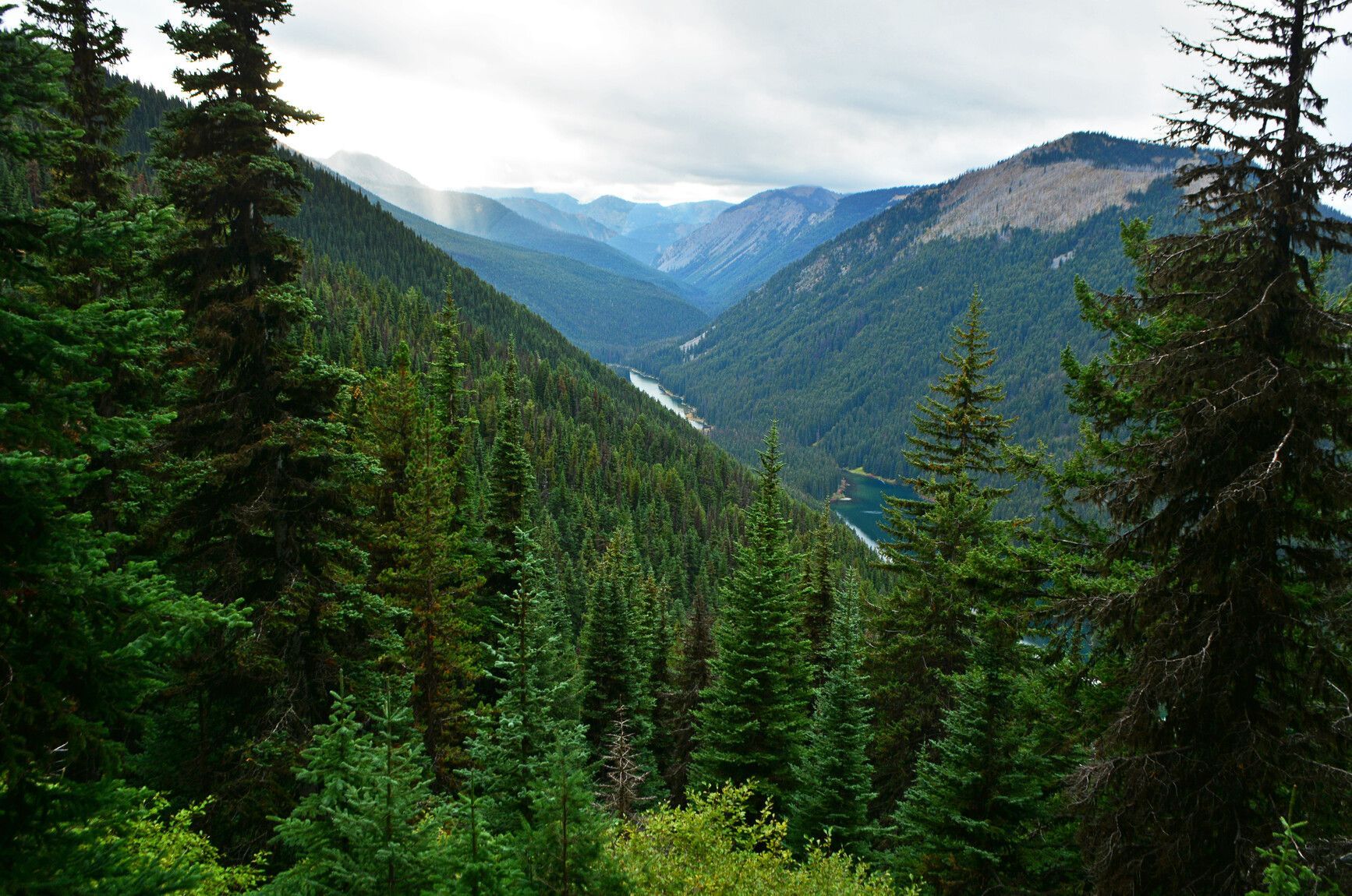 A woody mountainous scene under a cloudy sky
