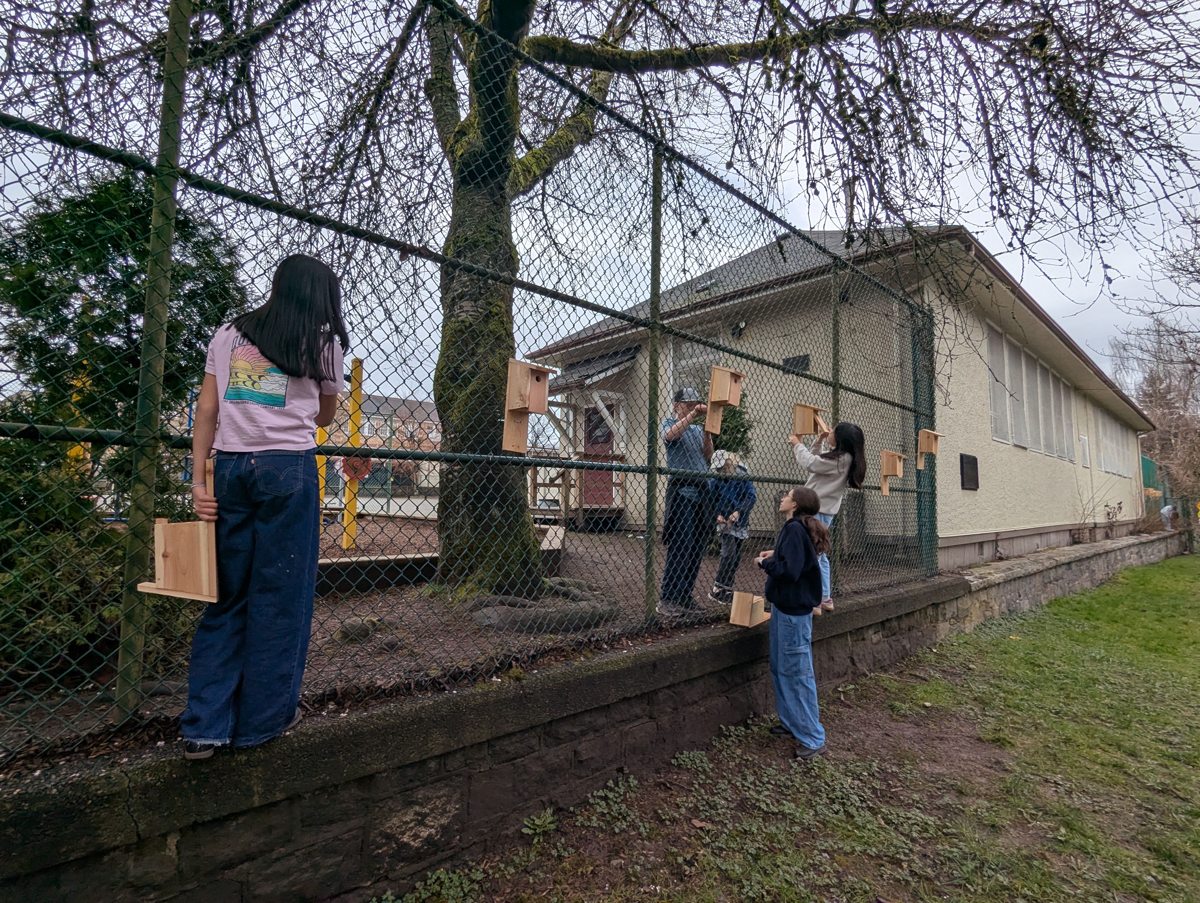 Children placing bird boxes on school fence