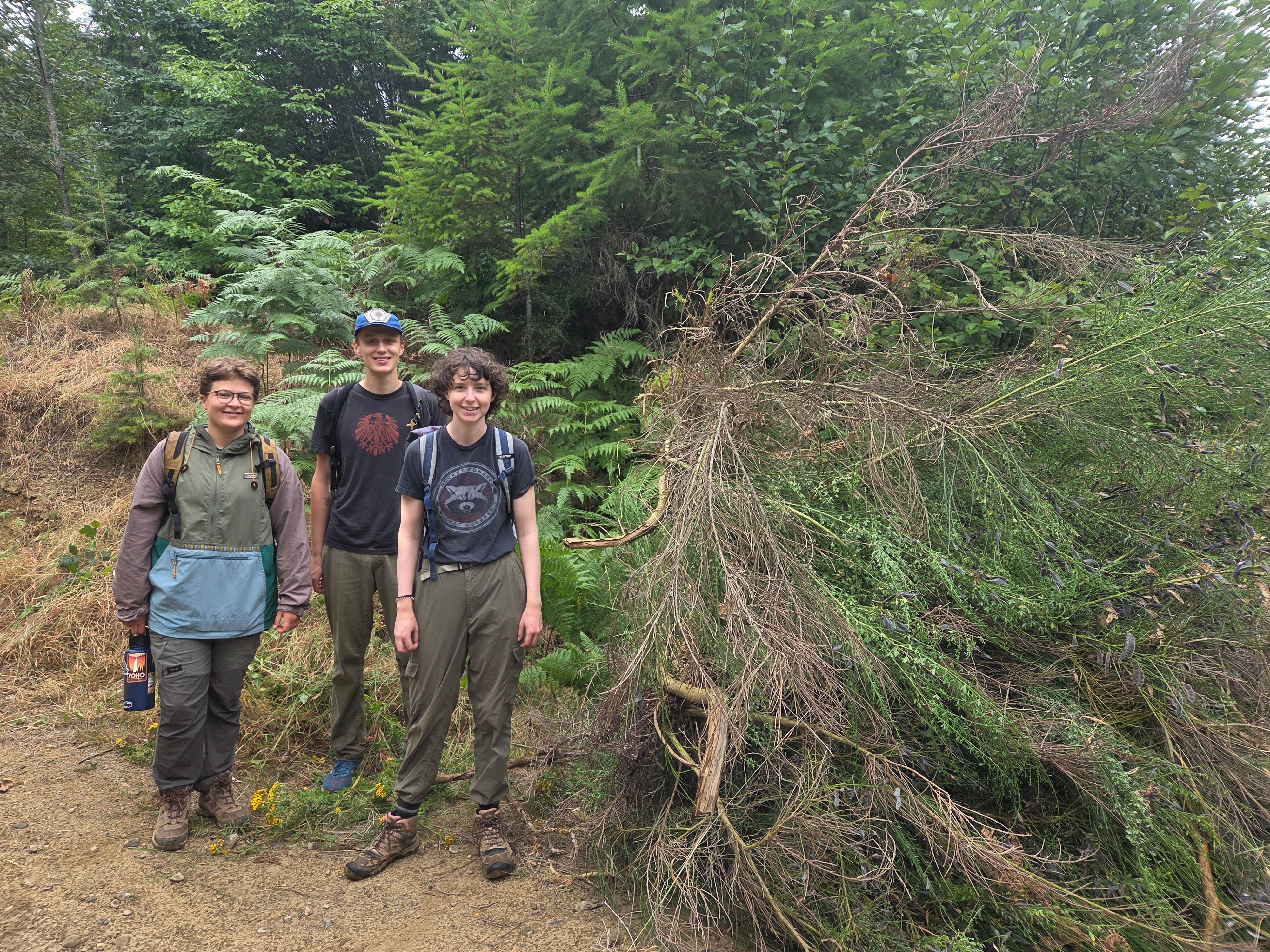 Maddie, Jesse and Mya recently removed an impressive 270 kilograms of invasive species from Morrison Headwaters, helping native plants and wildlife thrive now and in the future.