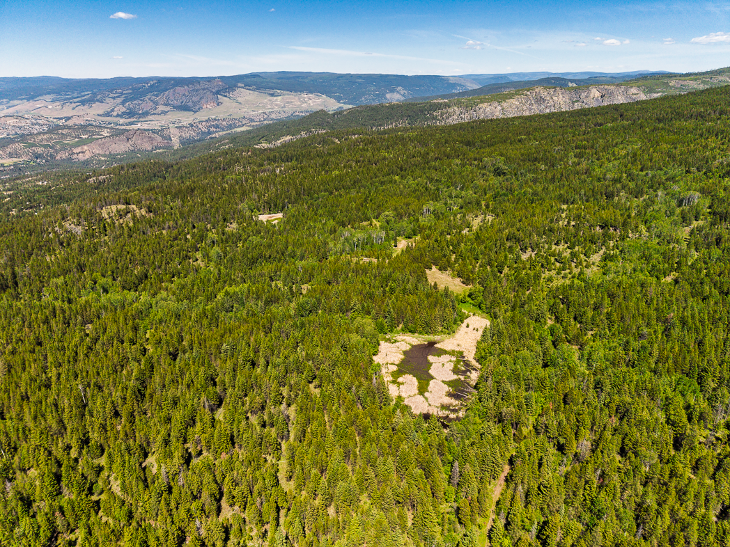 Aerial view of Myra-Bellevue Park