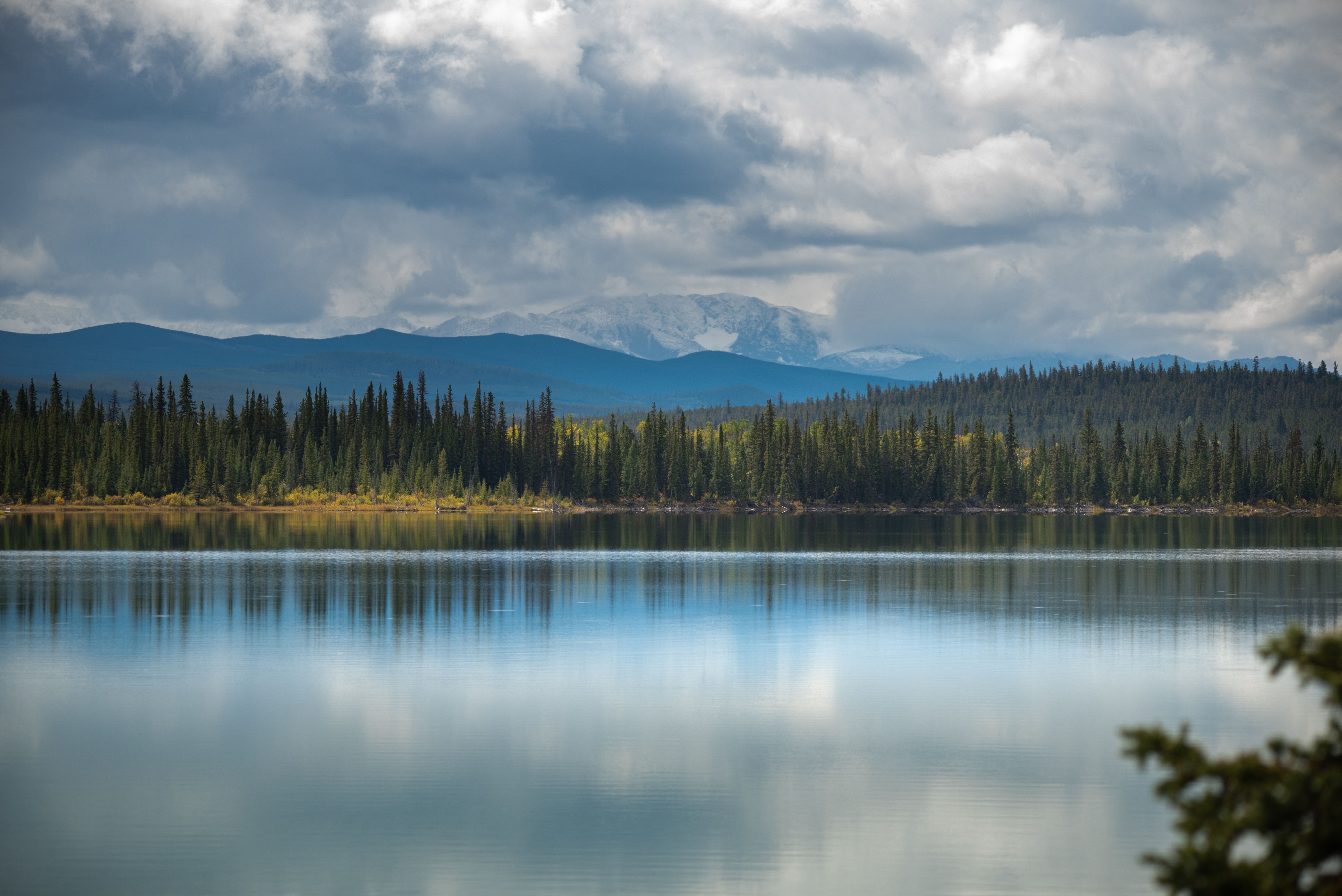 A wide shot of a glimmering lake with a forest in the distance