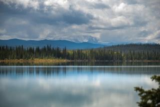 A wide shot of a glimmering lake with a forest in the distance