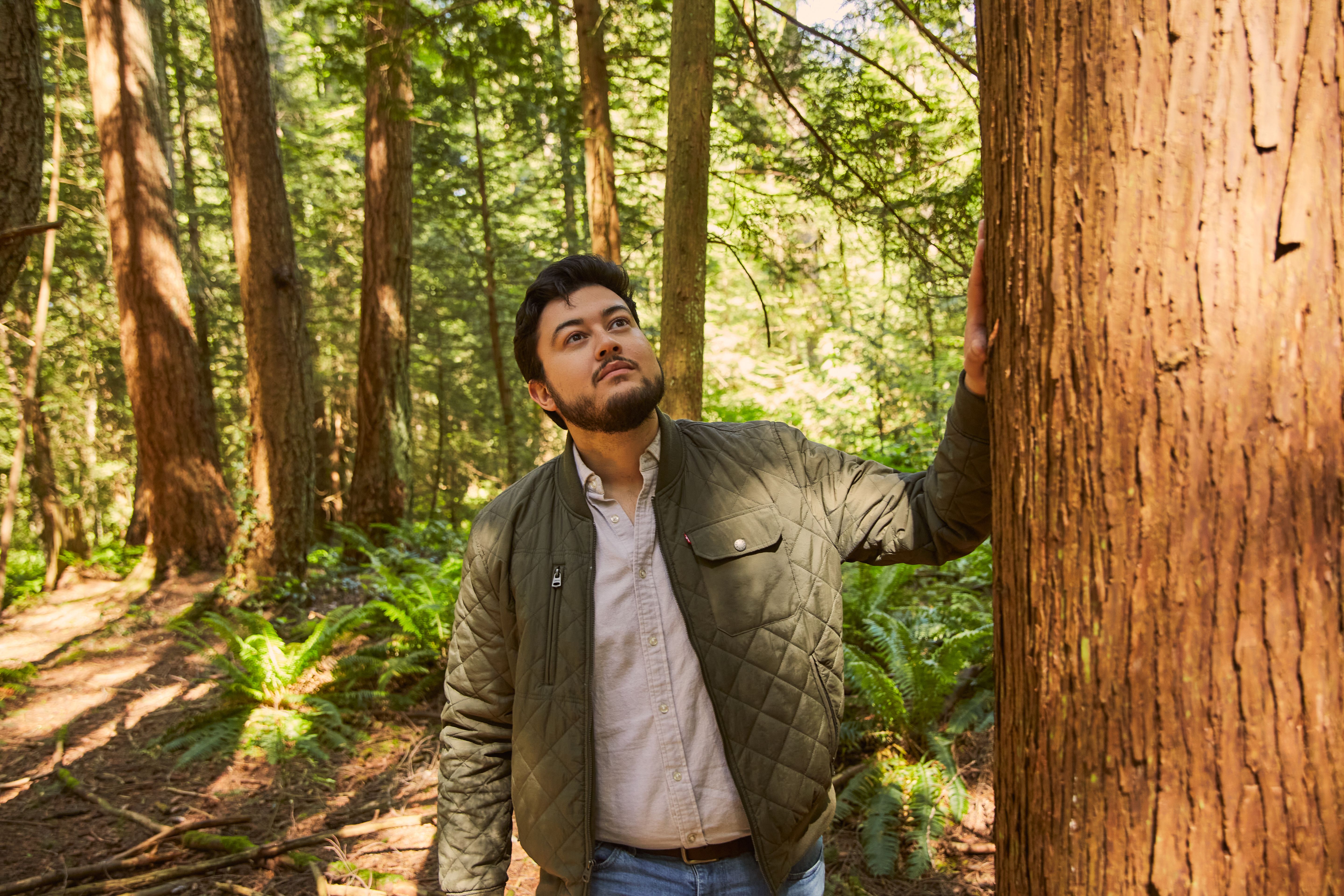 Person looks at a Cedar tree