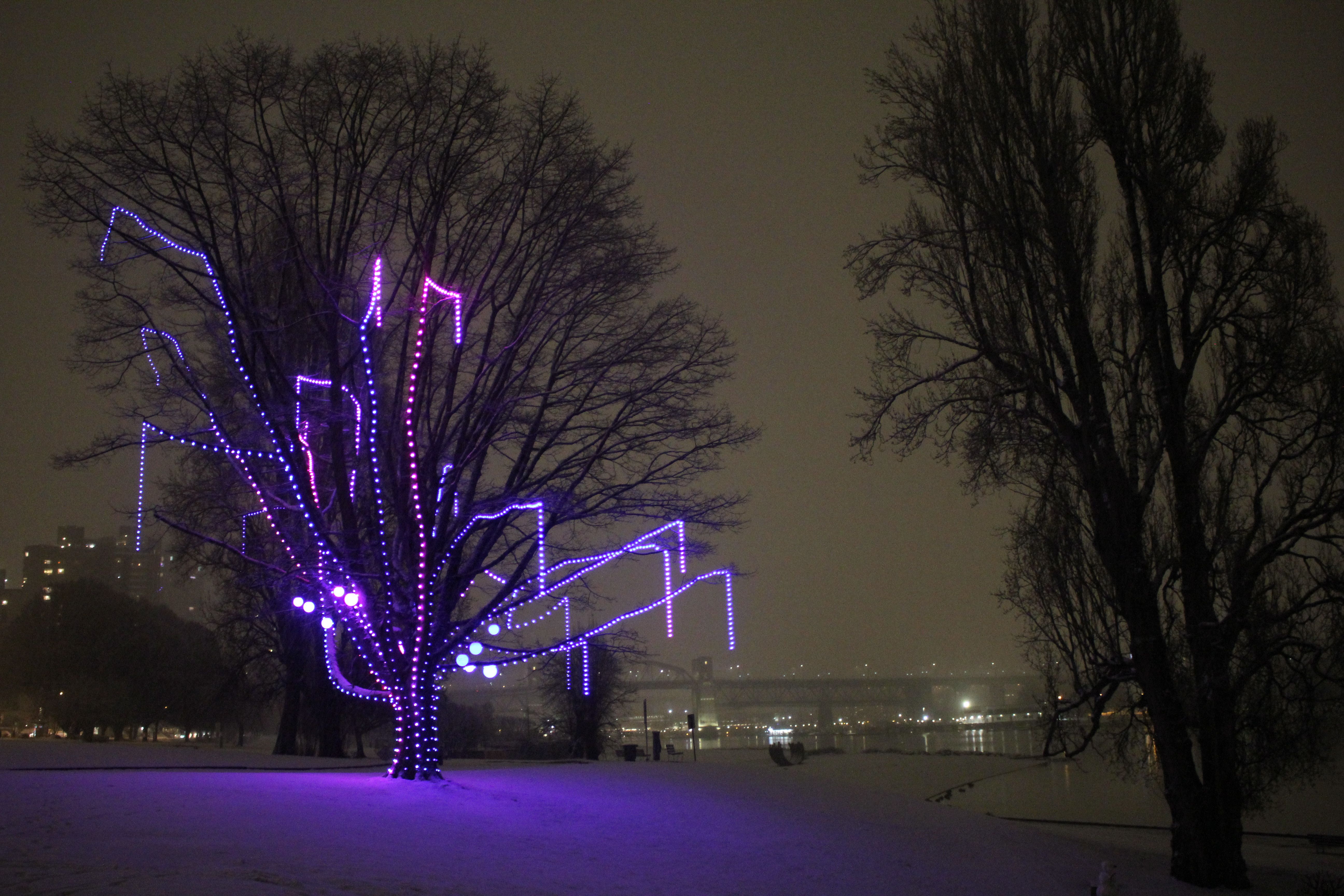 Wishing Tree lit-up on a snowy night in 2023.