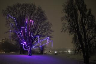 Wishing Tree lit-up on a snowy night in 2023.