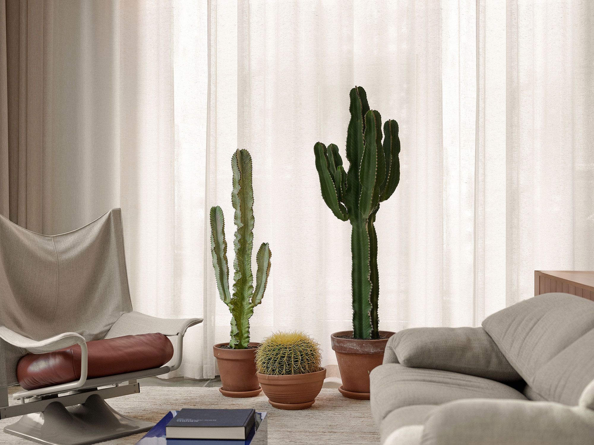 Lintex, Åsögatan , Stockholm — Halleroed