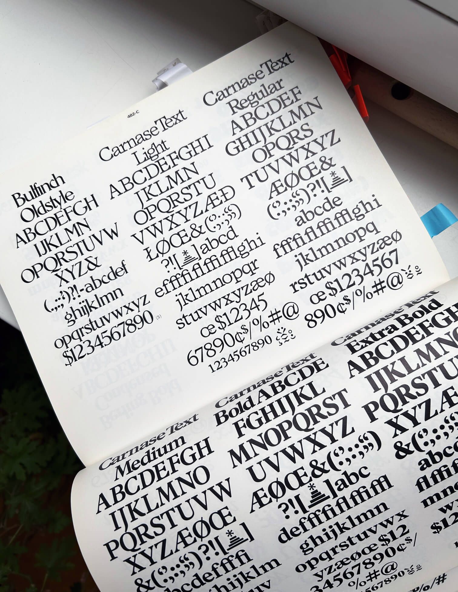 WTC Carnase Text